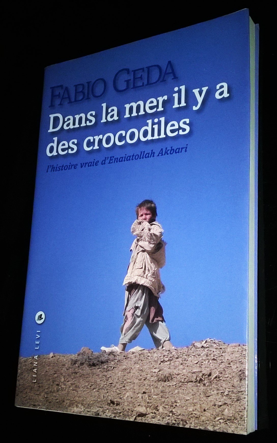 Dans la mer il y a des crocodiles 9782867465581