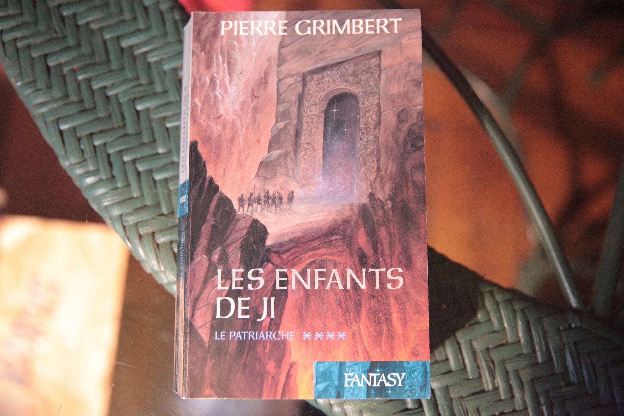 Les enfants de Ji Le patriarche 9782298003246