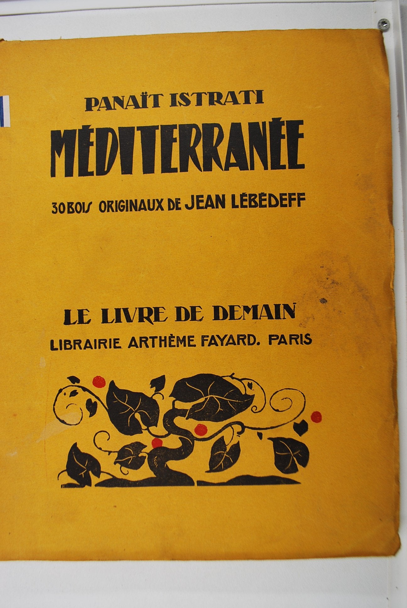 L'espérance du cardinal 9782709636520