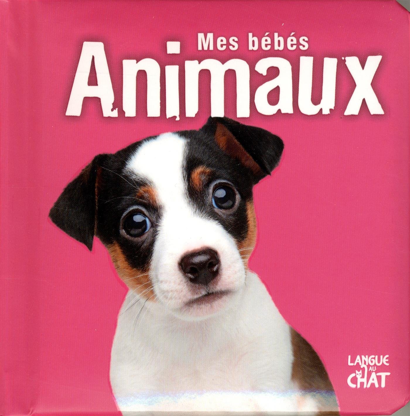 Mes bébés animaux 9782806306005