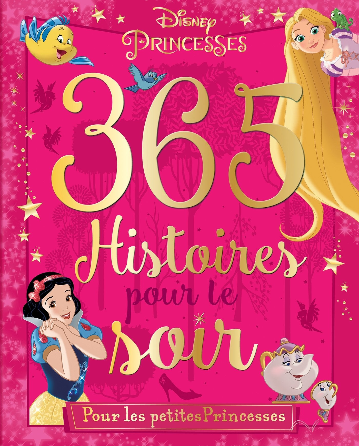 365 histoires pour le soir: Pour les petites princesses 9782013237192