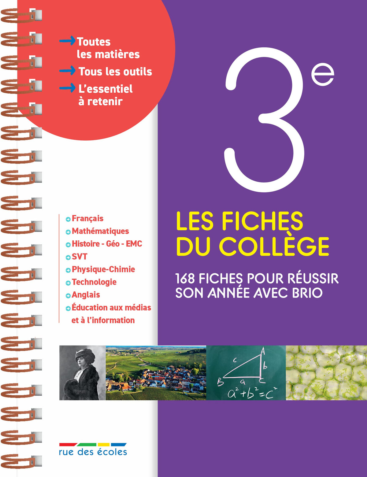 Les fiches du collège 3e: 168 fiches pour réussir son année avec brio 9782820813541