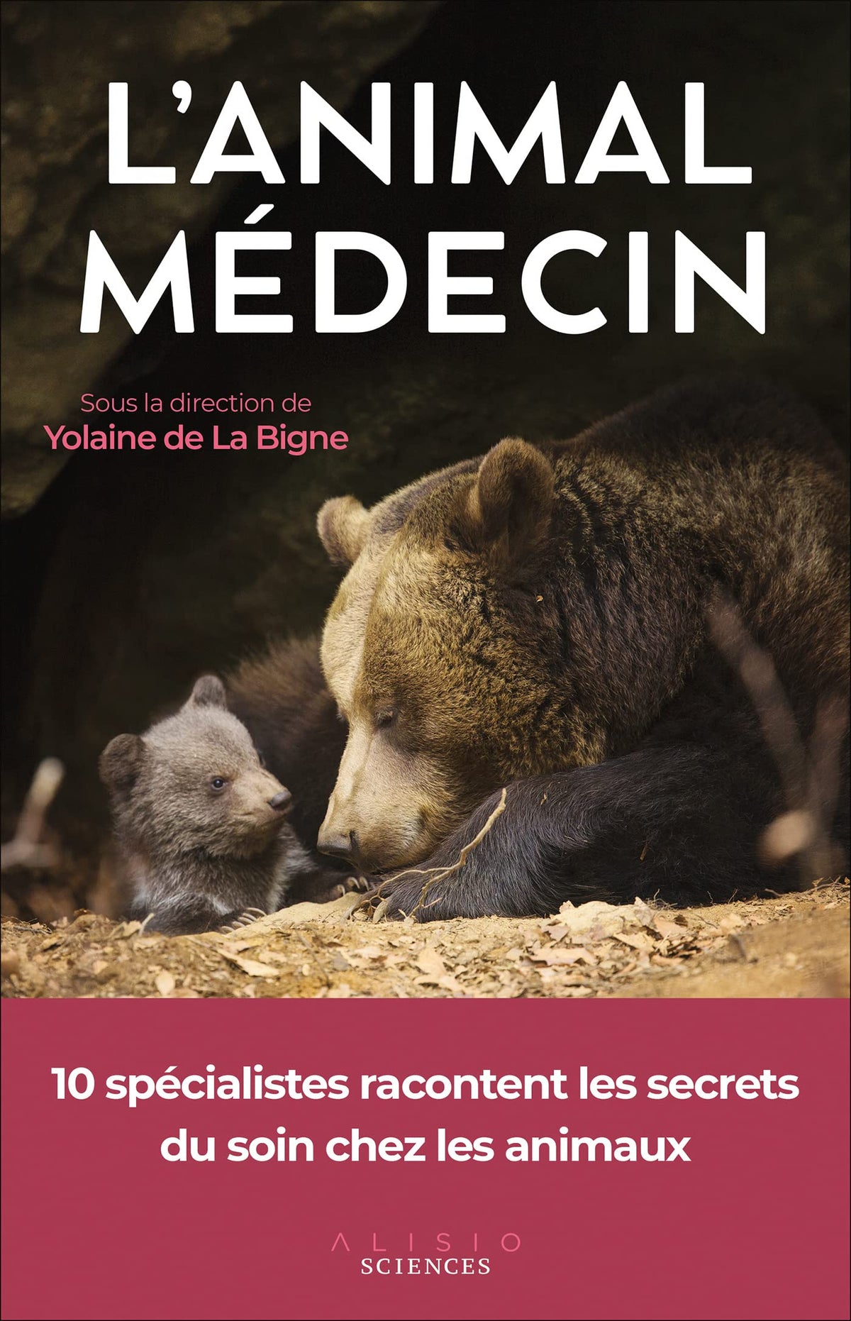 L'animal médecin: 10 spécialistes racontent les secrets du soin chez les animaux 9782379353161
