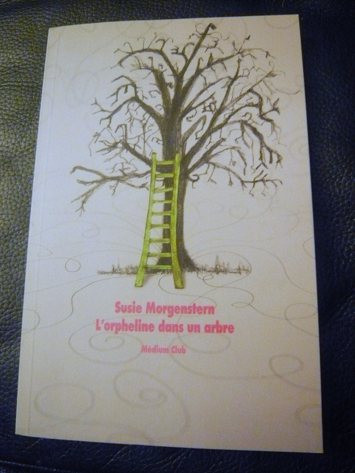 L'orpheline dans un arbre 9782211079488