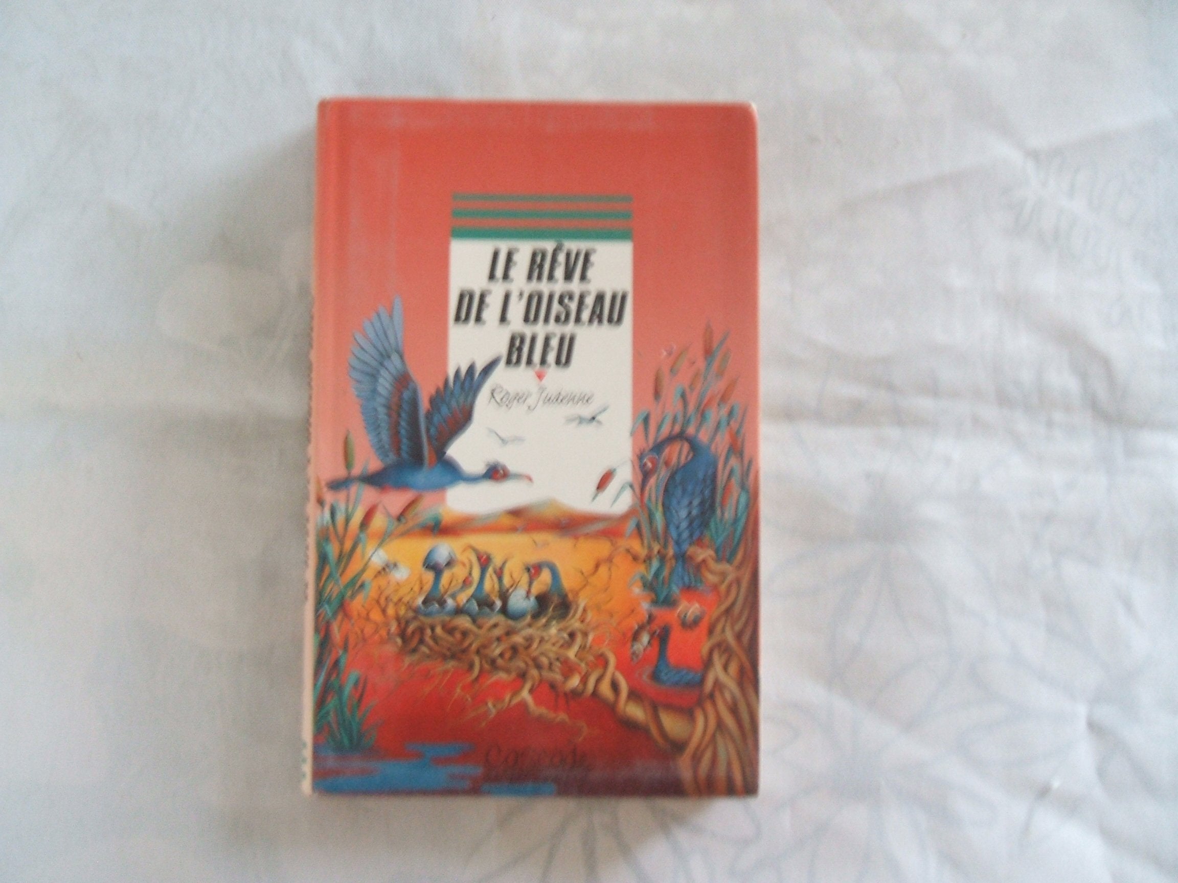Le rêve de l'oiseau bleu 9782700224955