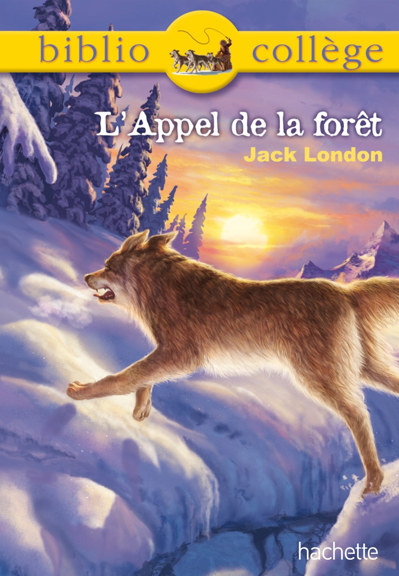 Bibliocollège - L'Appel de la forêt, Jack London 9782012815377