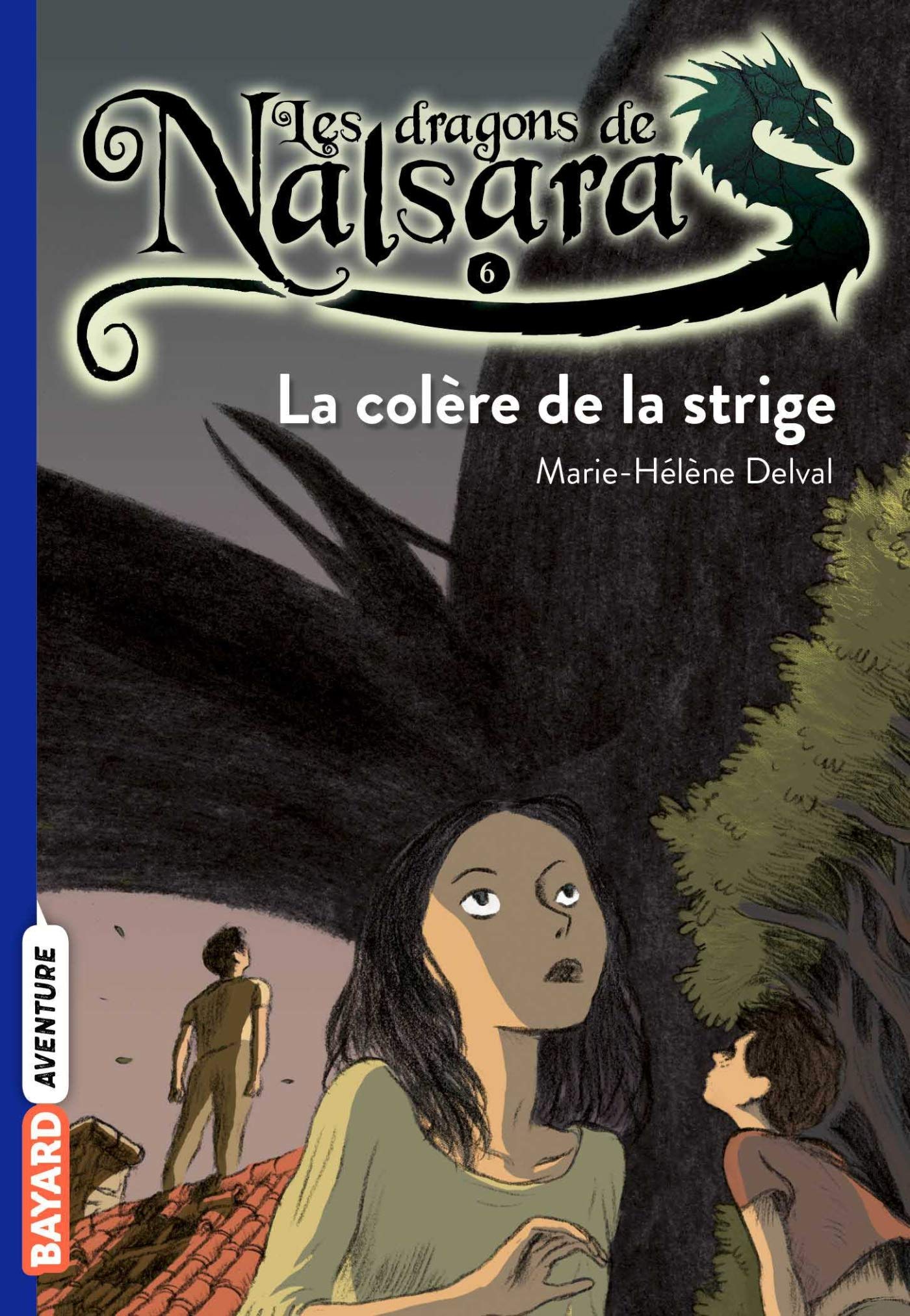 Les dragons de Nalsara, Tome 06: La colère de la stridge 9782747028820