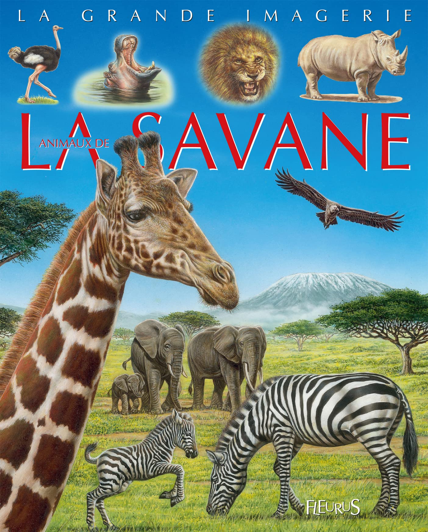 Les animaux de la savane 9782215142539