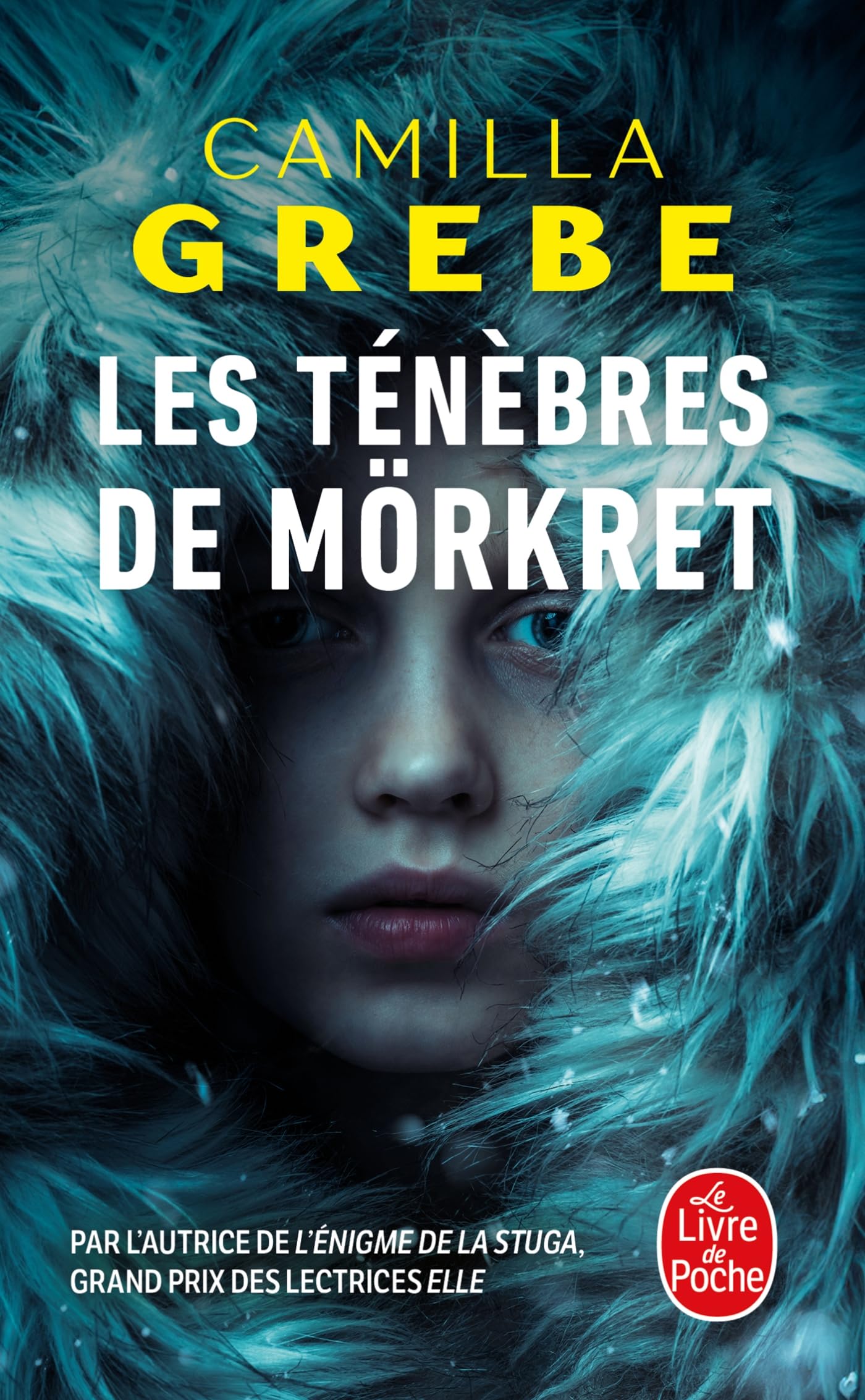 Les Ténèbres de Mörkret 9782253910015