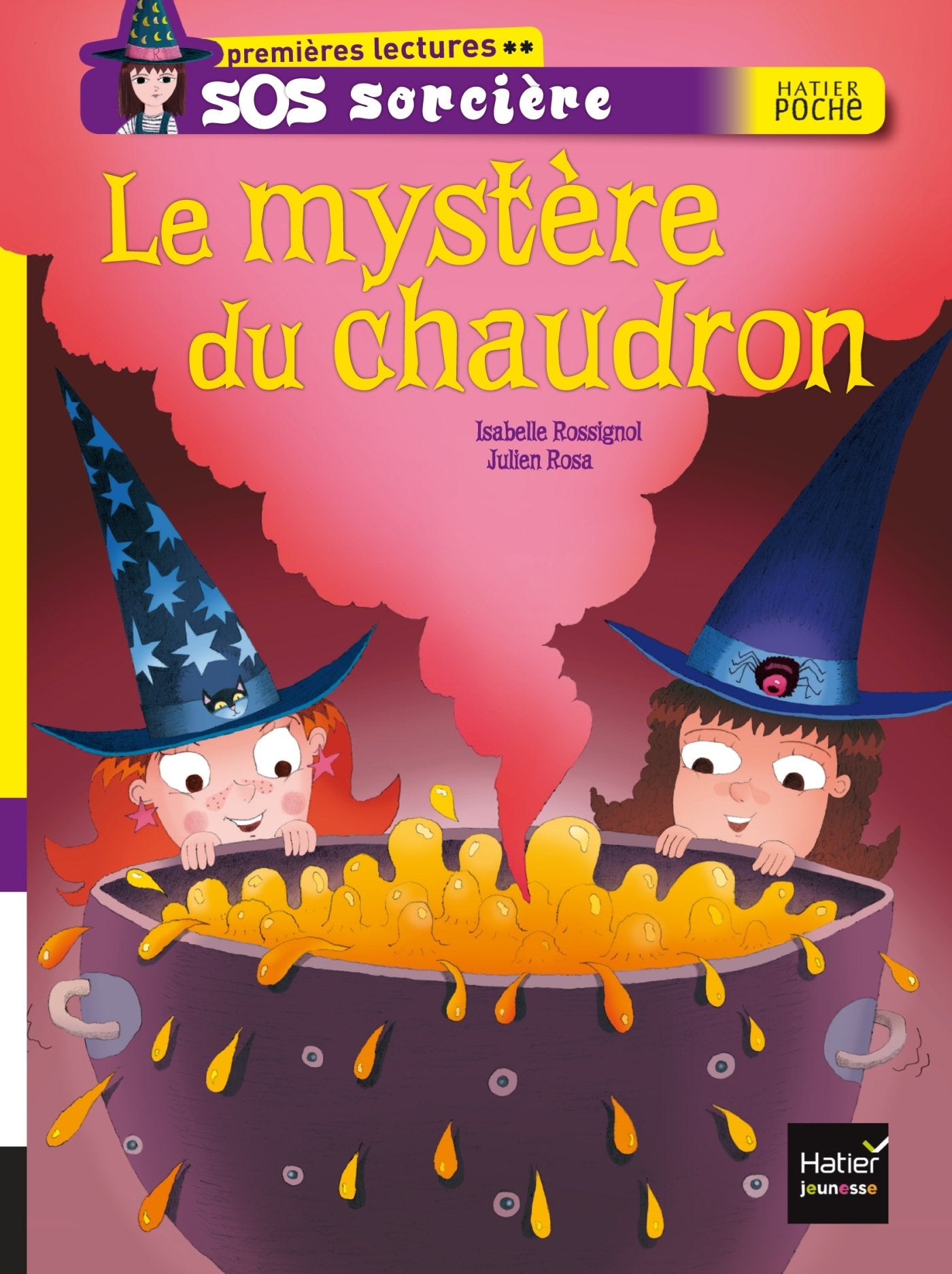 Le mystère du chaudron 9782218969515