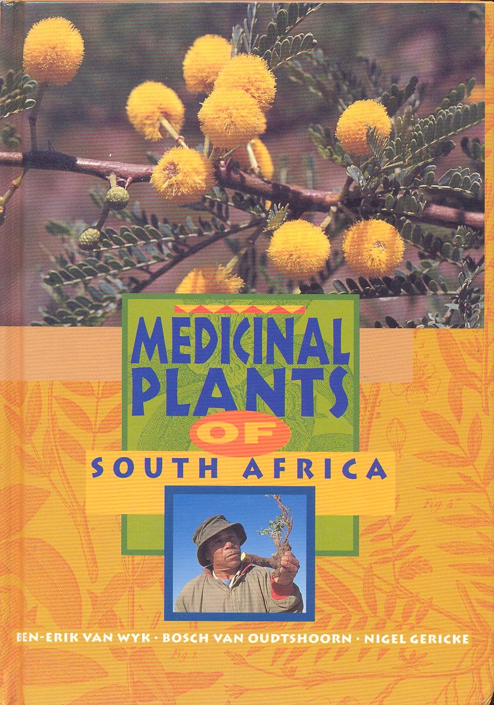 Medicinal plants of South Africa 9781875093090