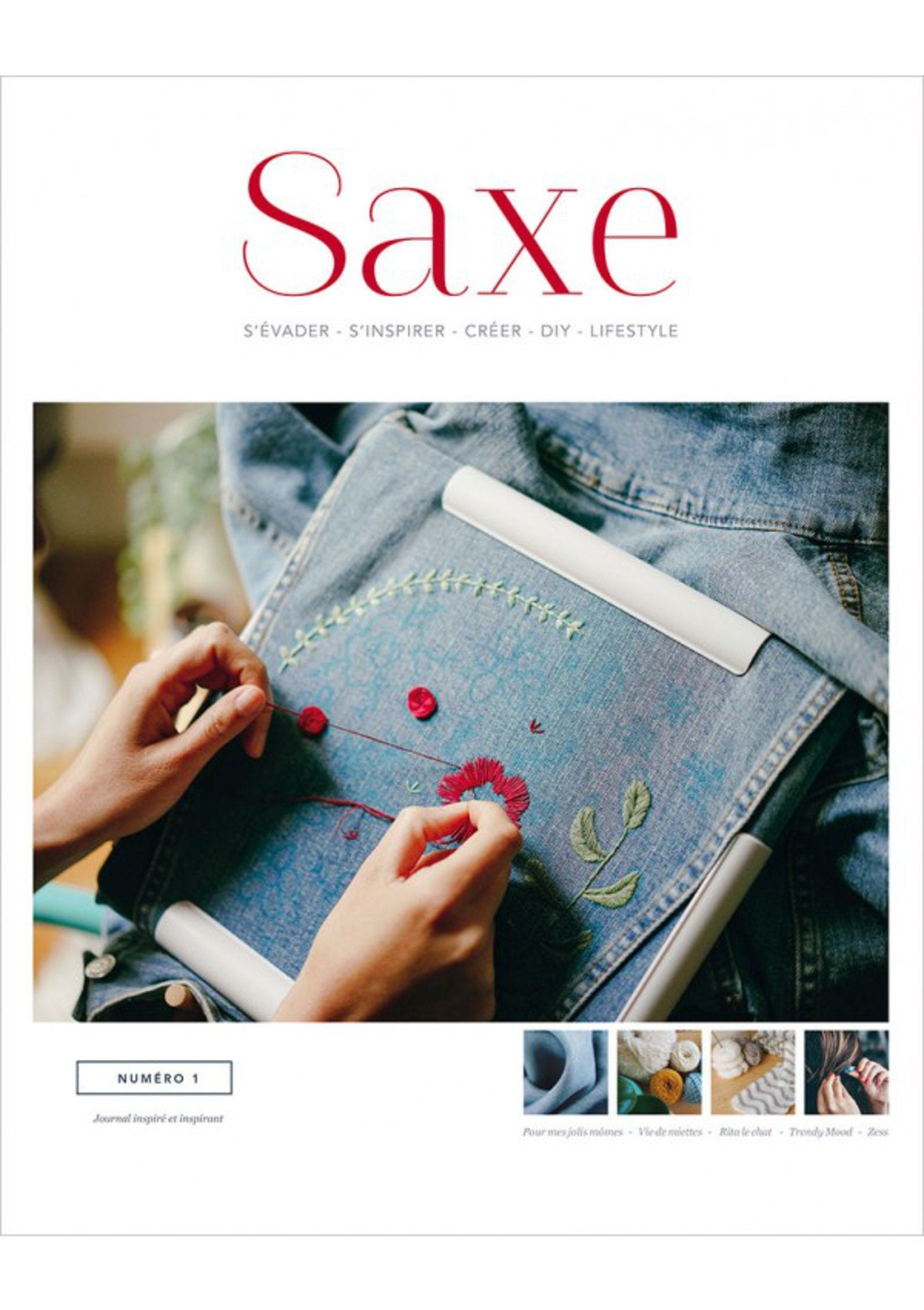 Saxe diy 1 9782756529172