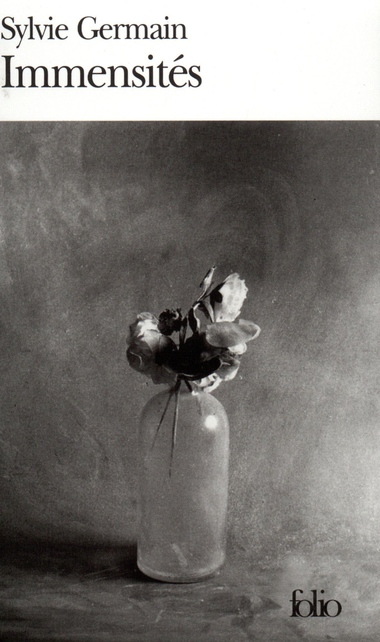 Immensités 9782070393602