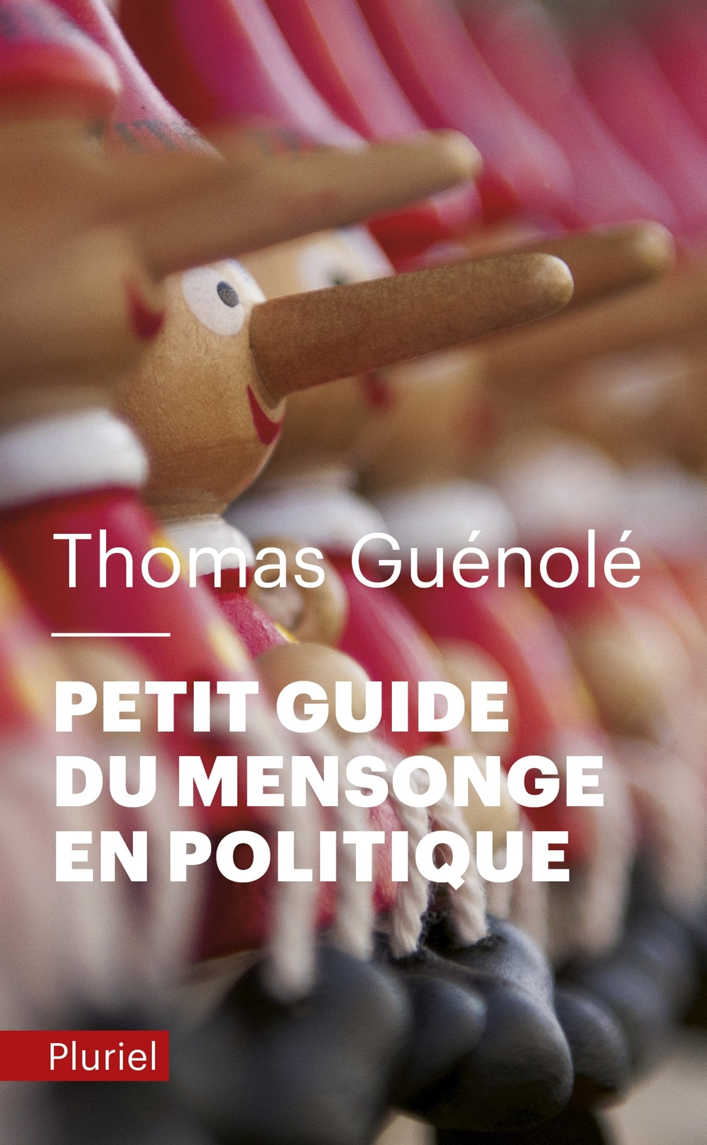 Petit guide du mensonge en politique 9782818505250