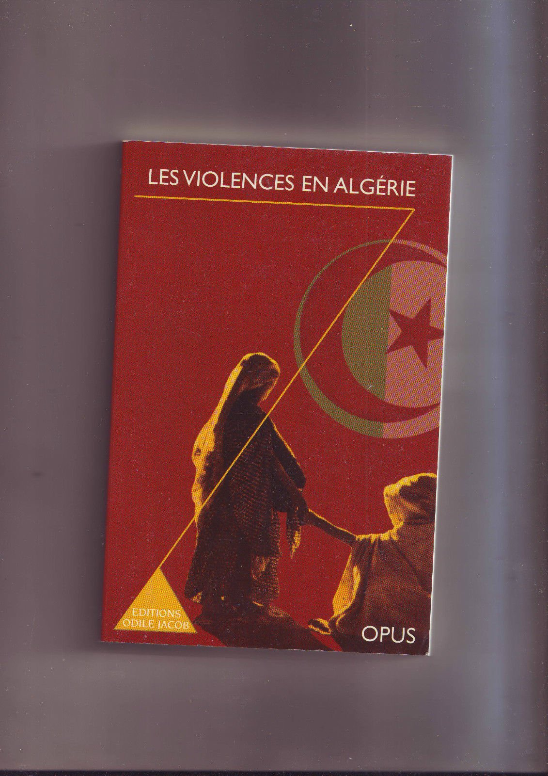 Les violences en Algérie 9782738105509