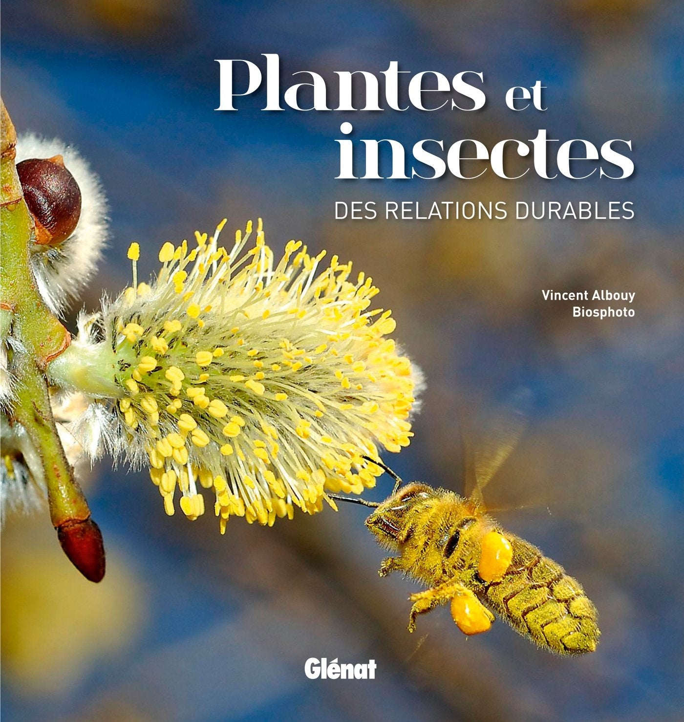 Plantes et insectes: Des relations durables 9782344003176