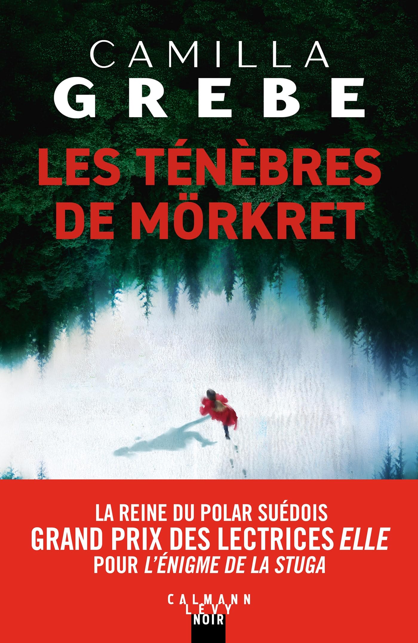 Les Ténèbres de Mörkret 9782702180884
