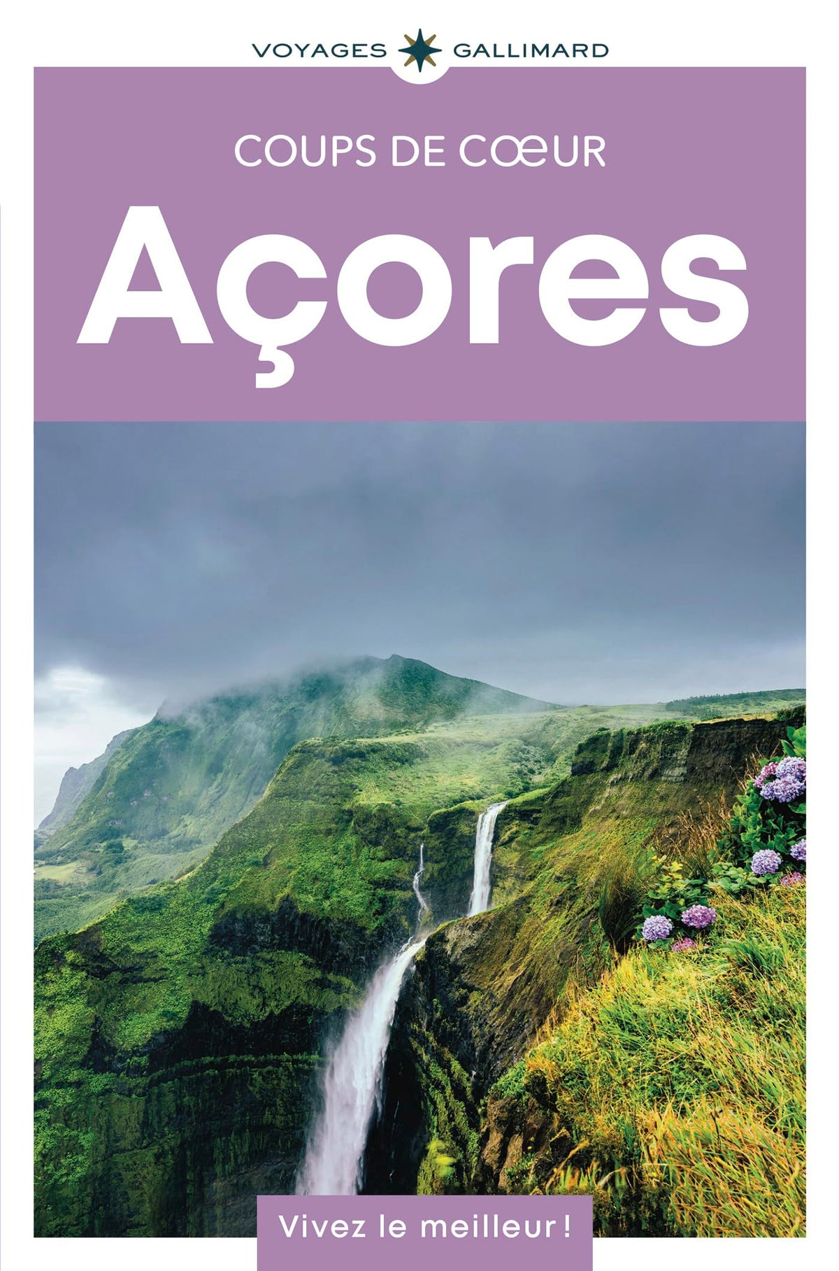 Açores: Guide Coups de coeur 9782742468102