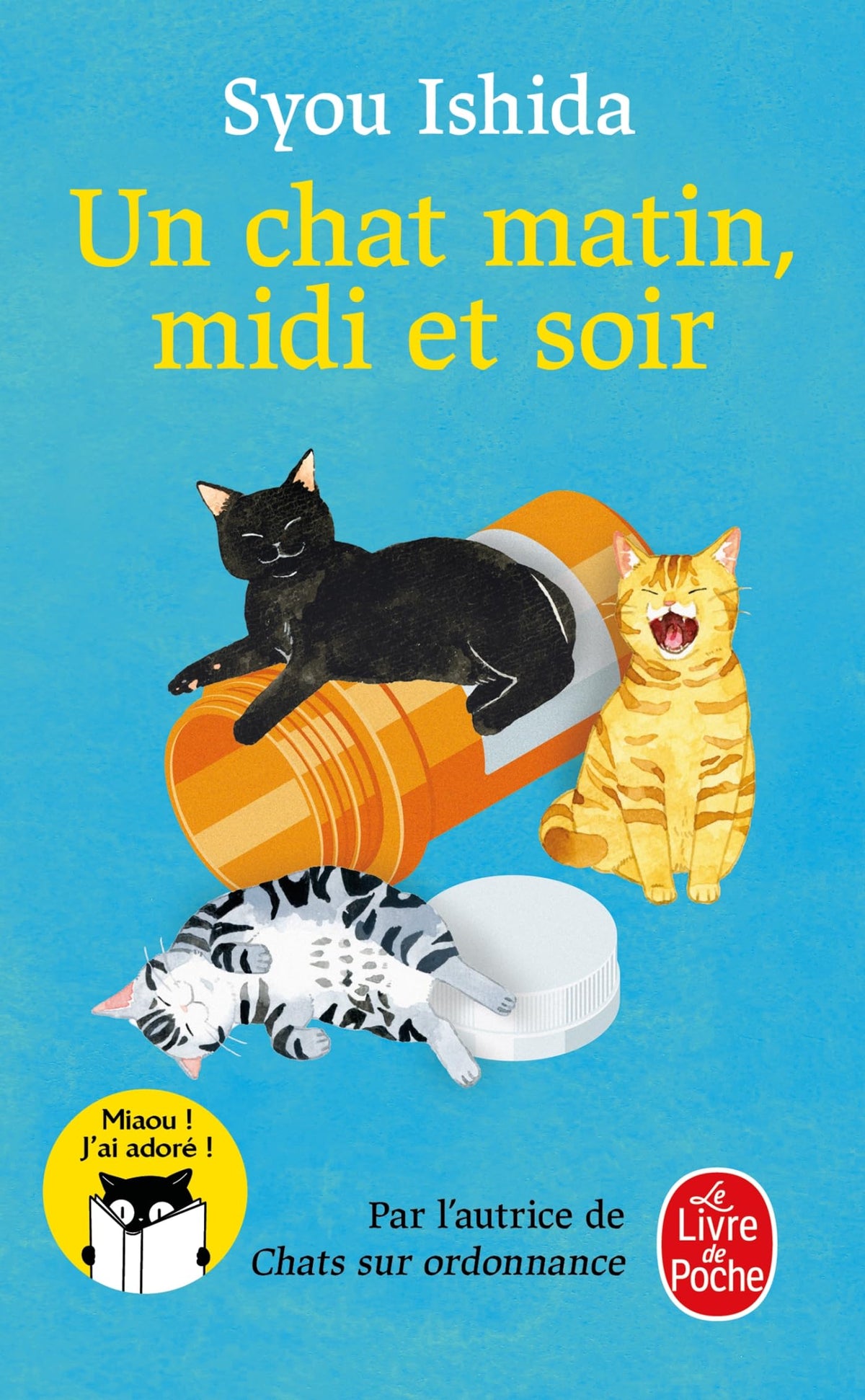 Un chat matin, midi et soir 9782253110026