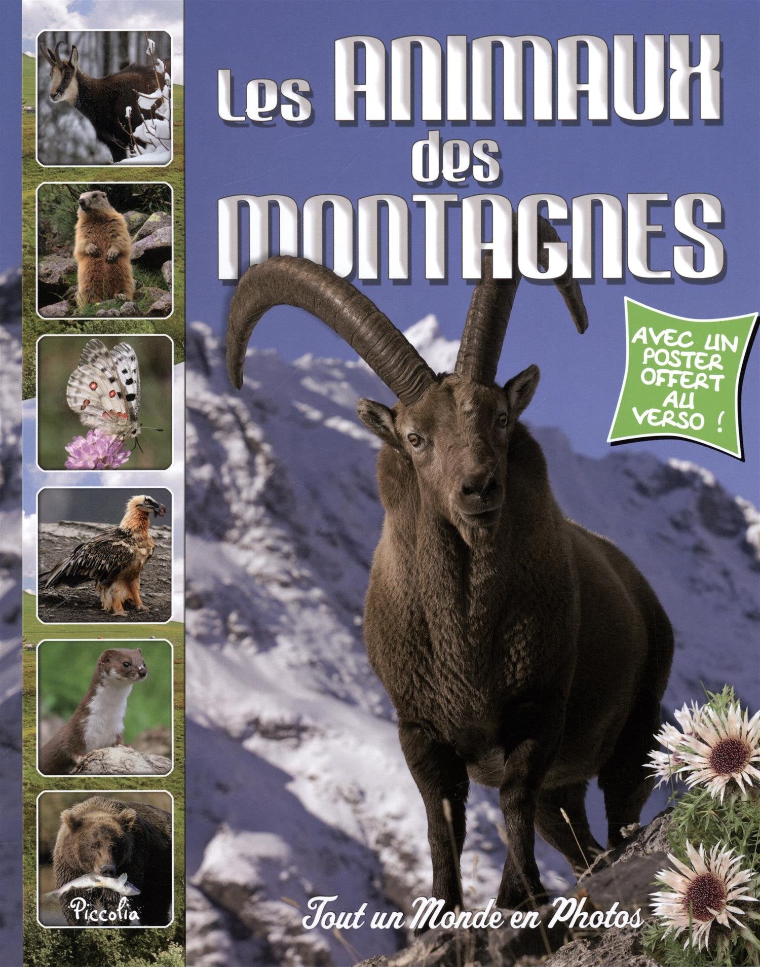 Les animaux des montagnes 9782753036703