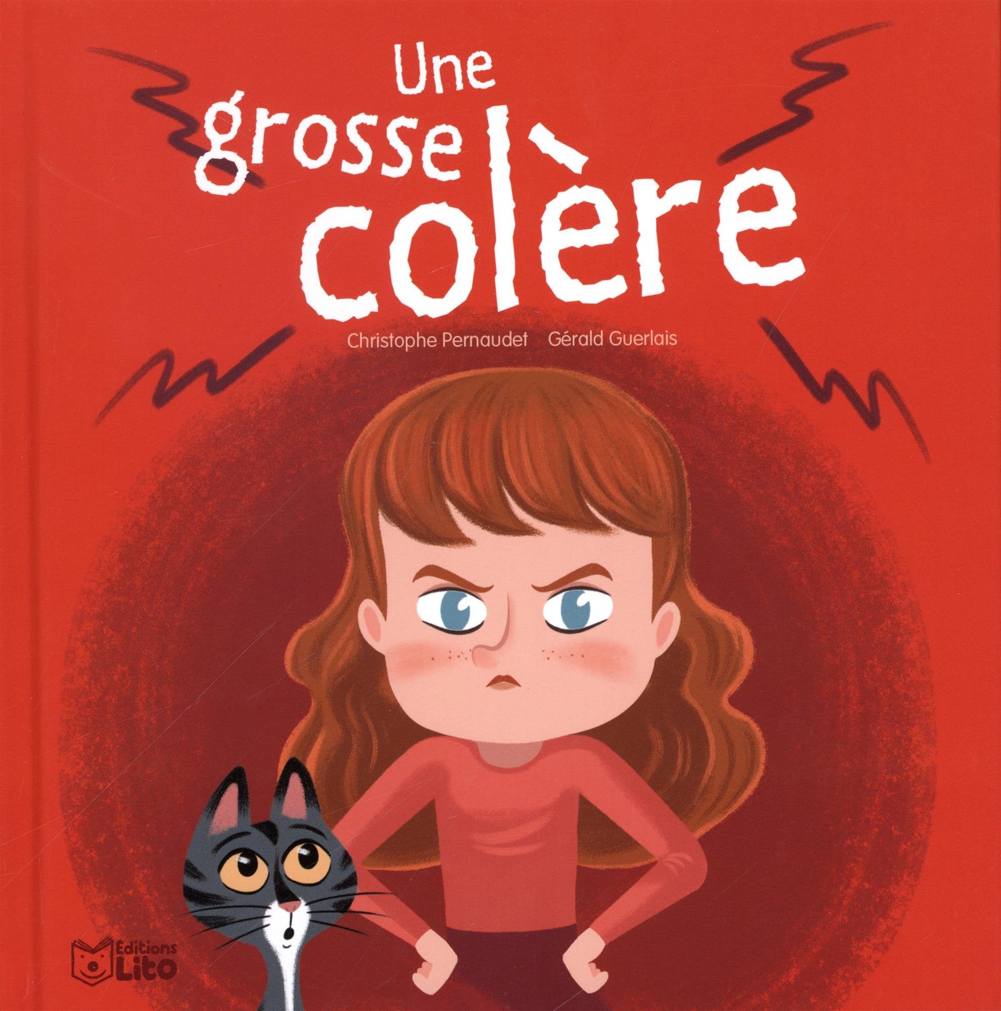 Une grosse colère 9782244412269