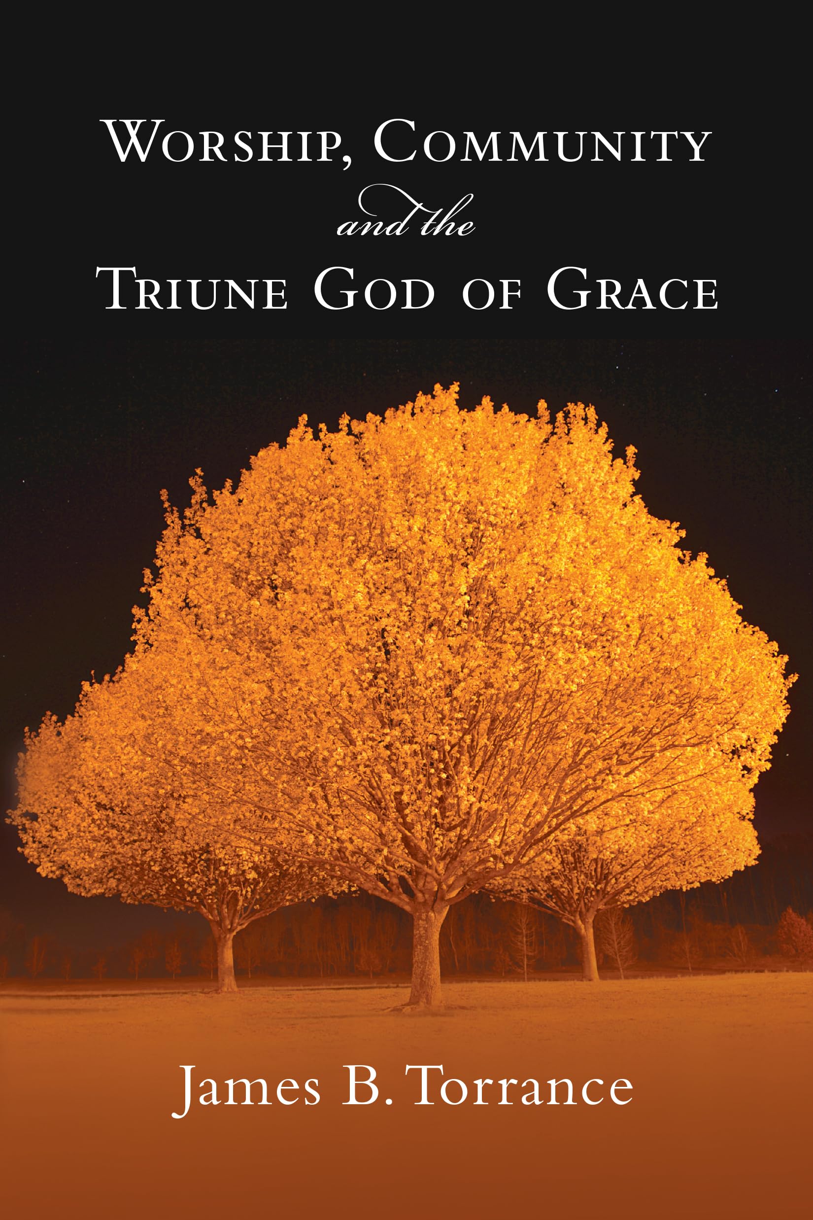 Worship, Community & the Triune God of Grace 9780830818952