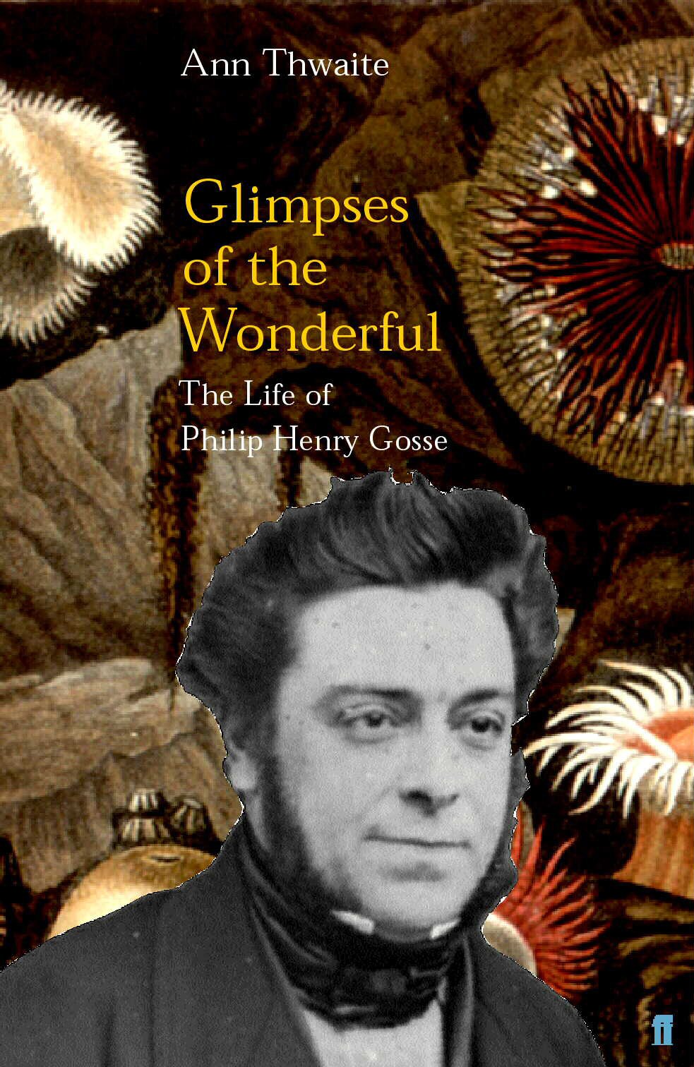 Glimpses of the Wonderful: The Life of Philip Henry Gosse 9780571193288