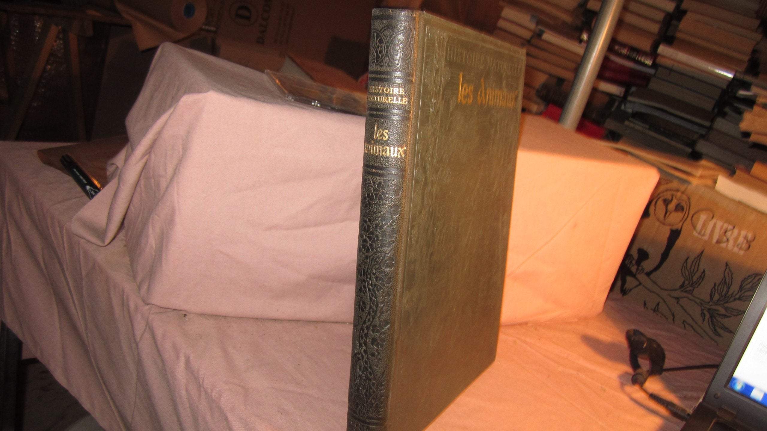 Les animaux, les invertébrés et les vertébrés. Histoire Naturelle. 