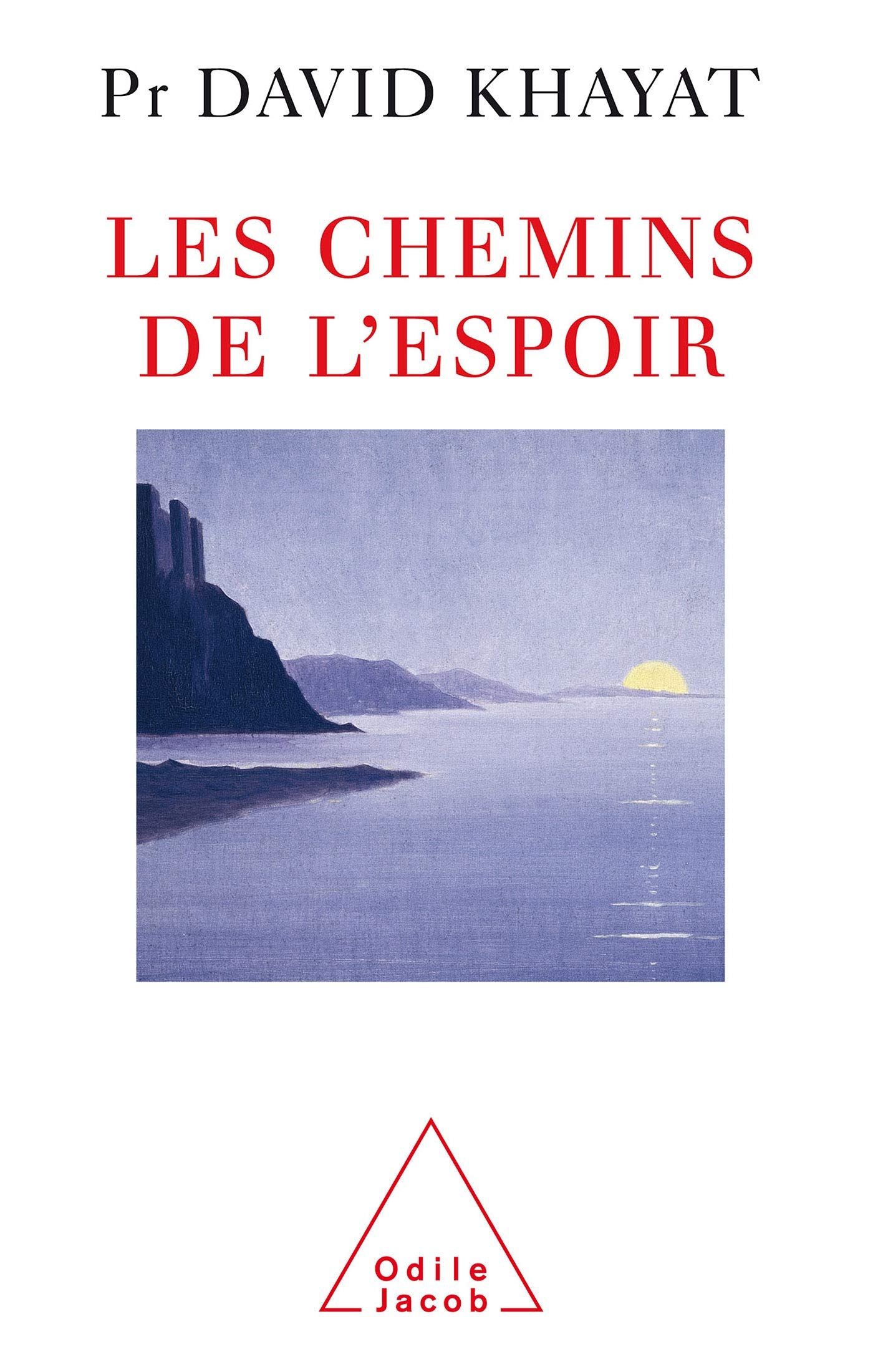 Les Chemins de l'espoir 9782738113405