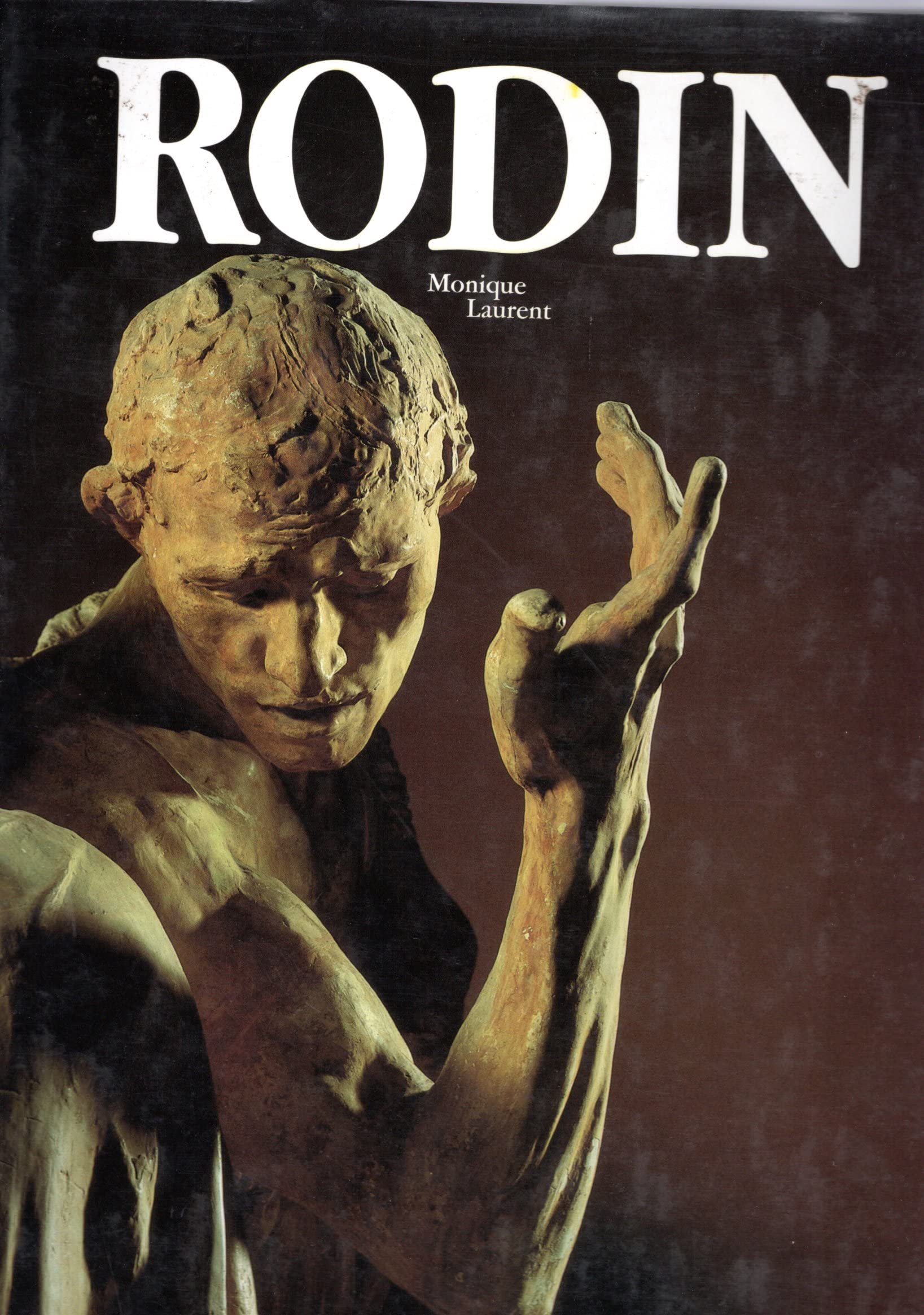 Rodin 9782851085856