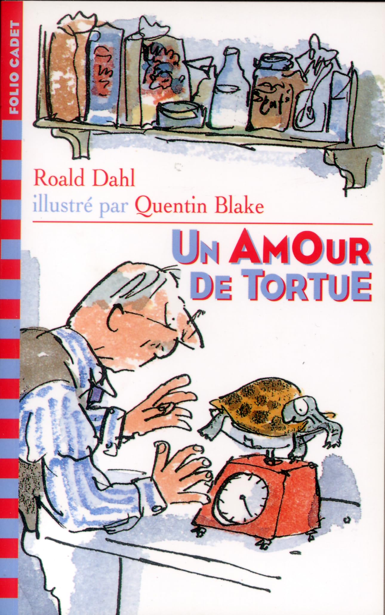 UN AMOUR DE TORTUE 9782070518043