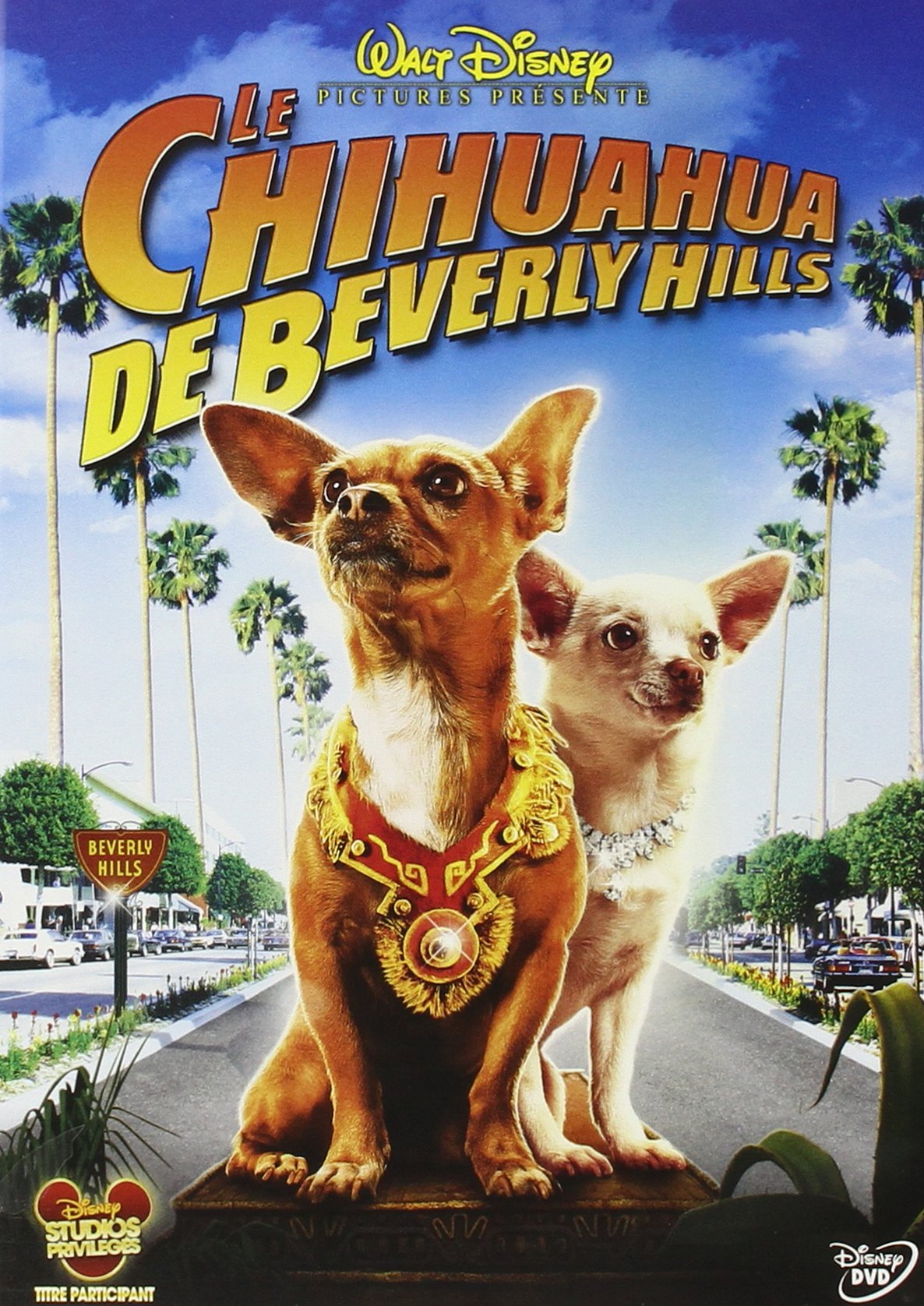 Le chihuahua de Beverly Hills 8717418223328