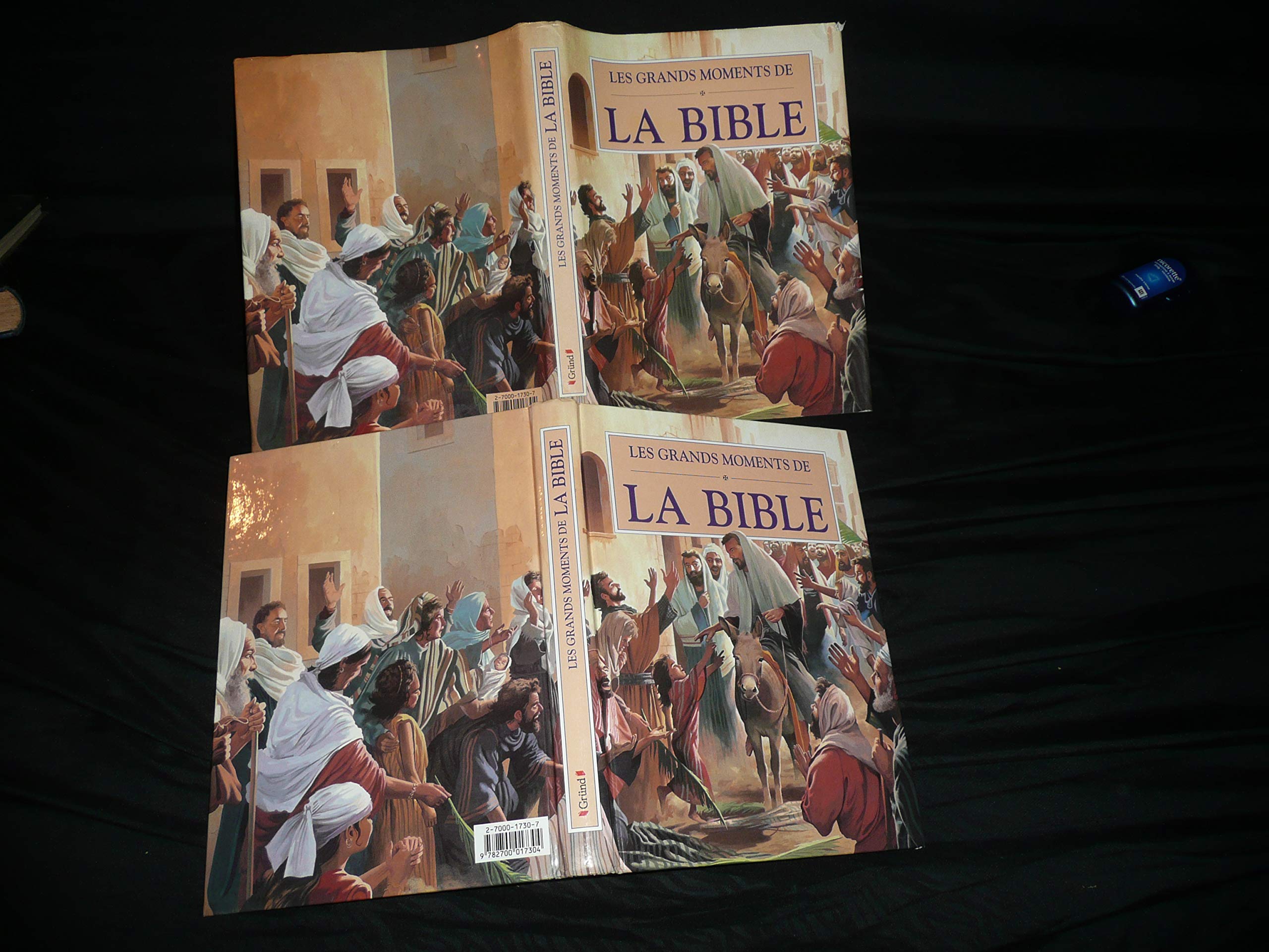 Les Grands Moments de la Bible 9782700017304