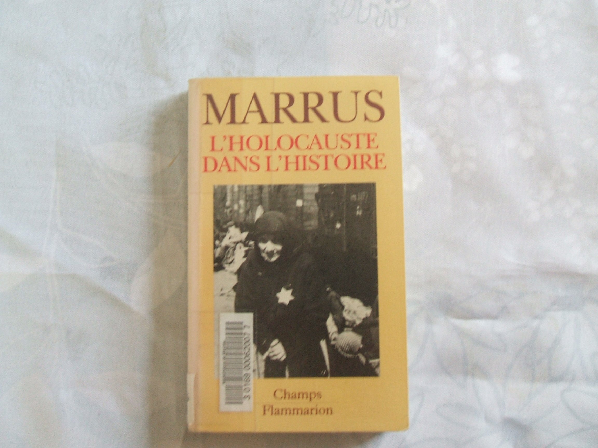 L'Holocauste dans l'histoire 9782080813077