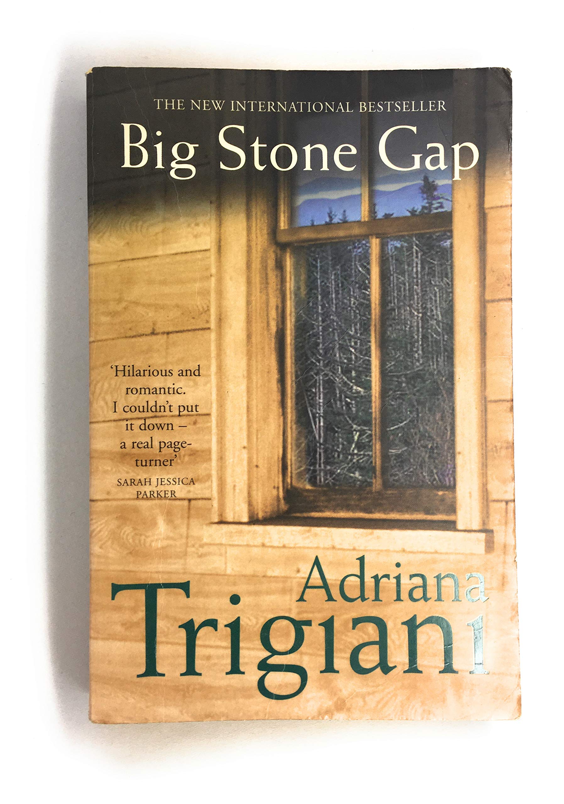 Big Stone Gap 9780743440127