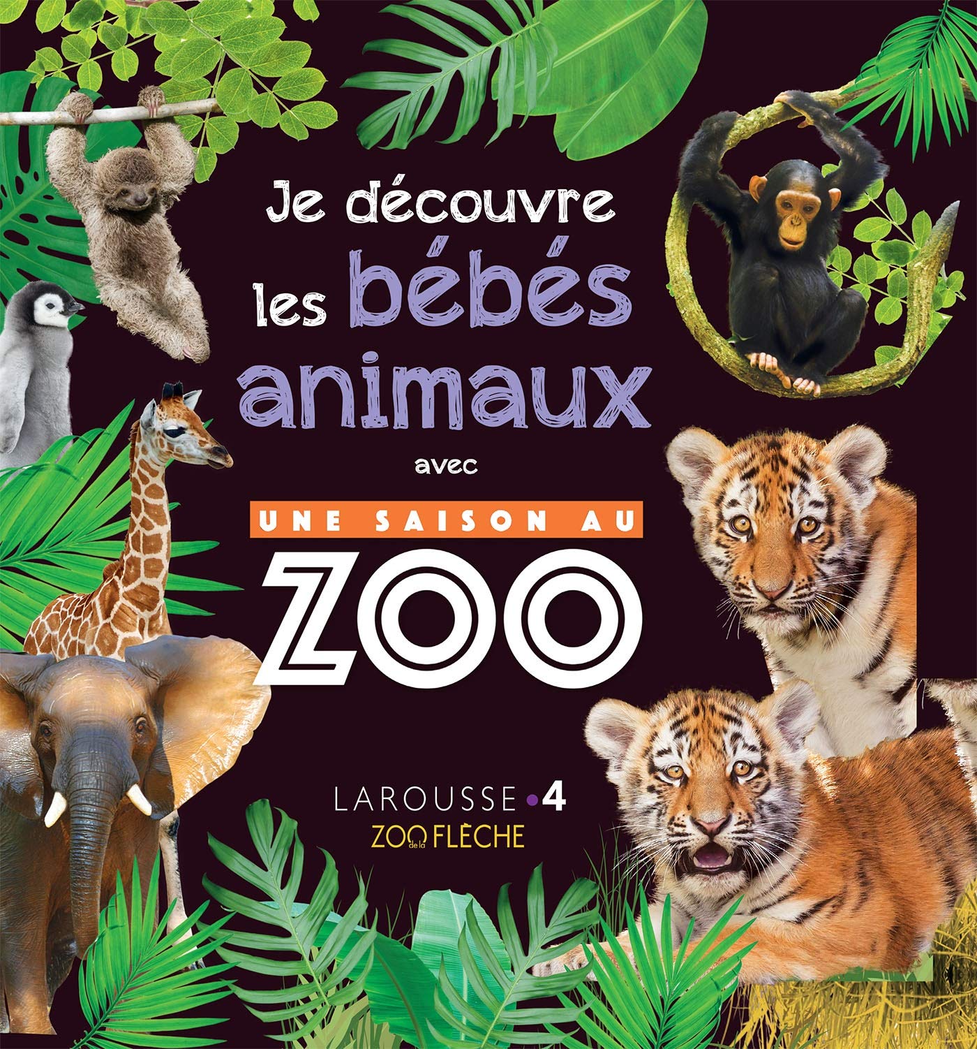 Une saison au zoo - Mon album des bébés animaux 9782035970565