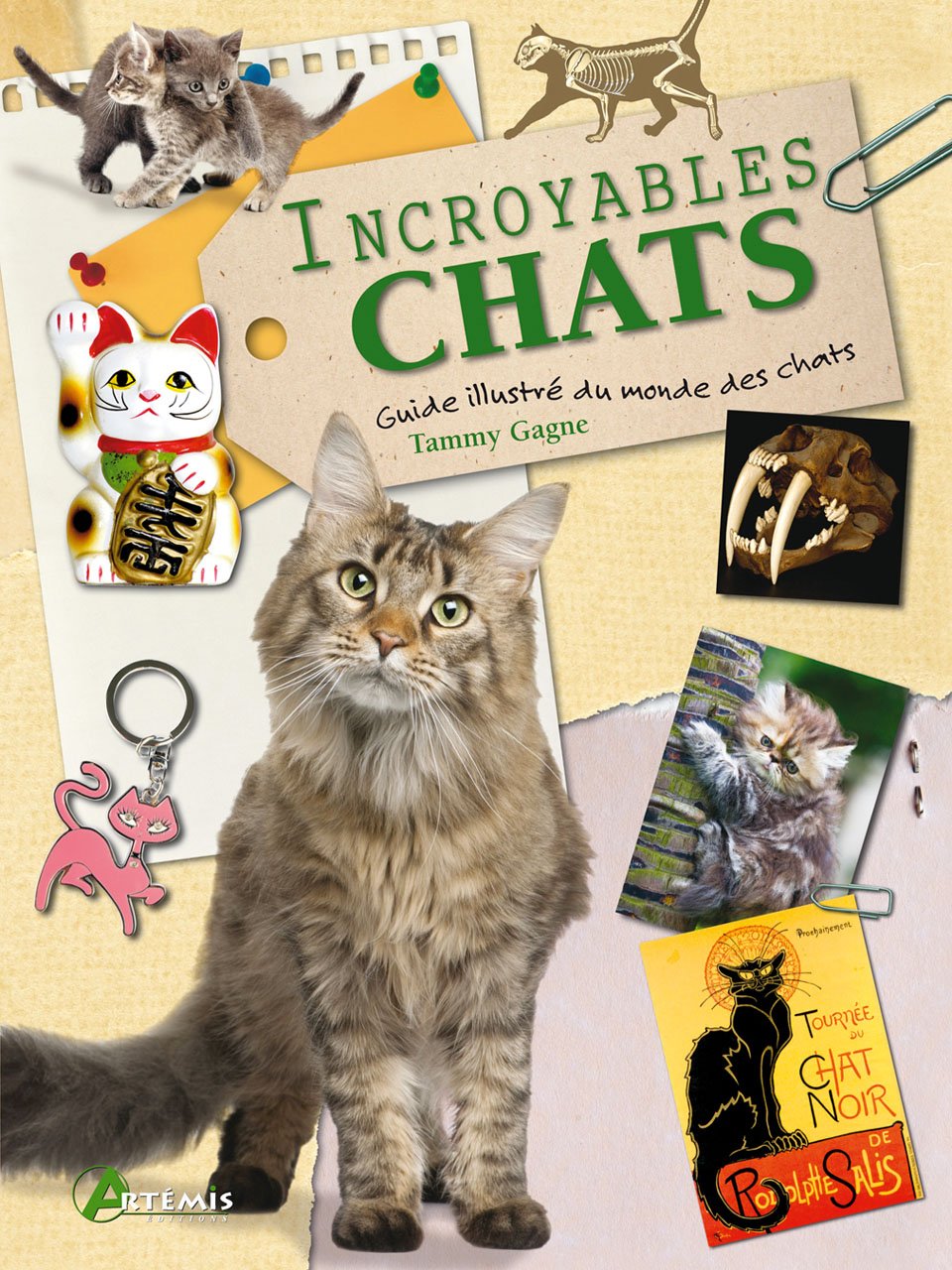 Incroyables chats: Un recueil d'anecdotes félines 9782816002089