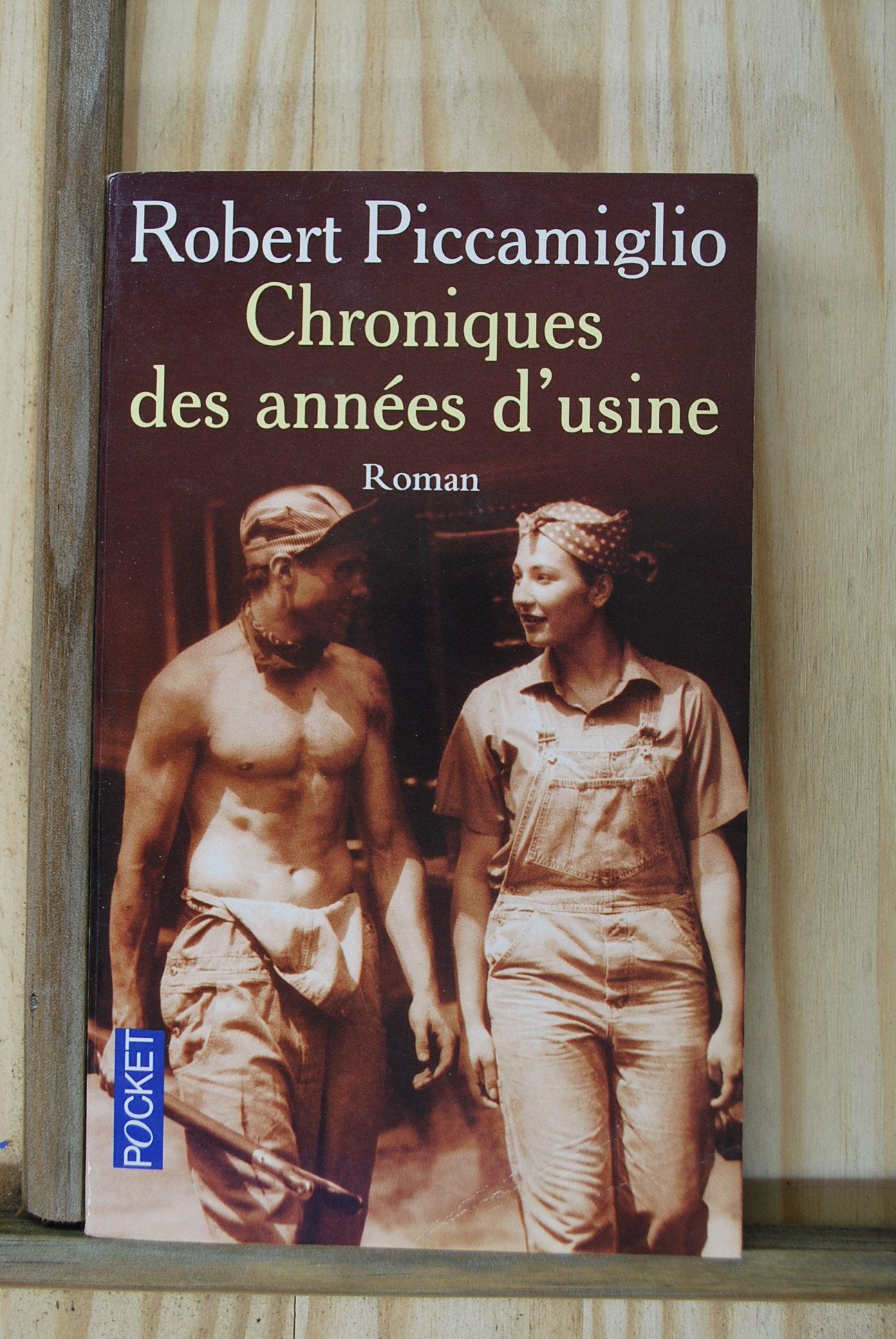 Chronique des années d'usine 9782266103589