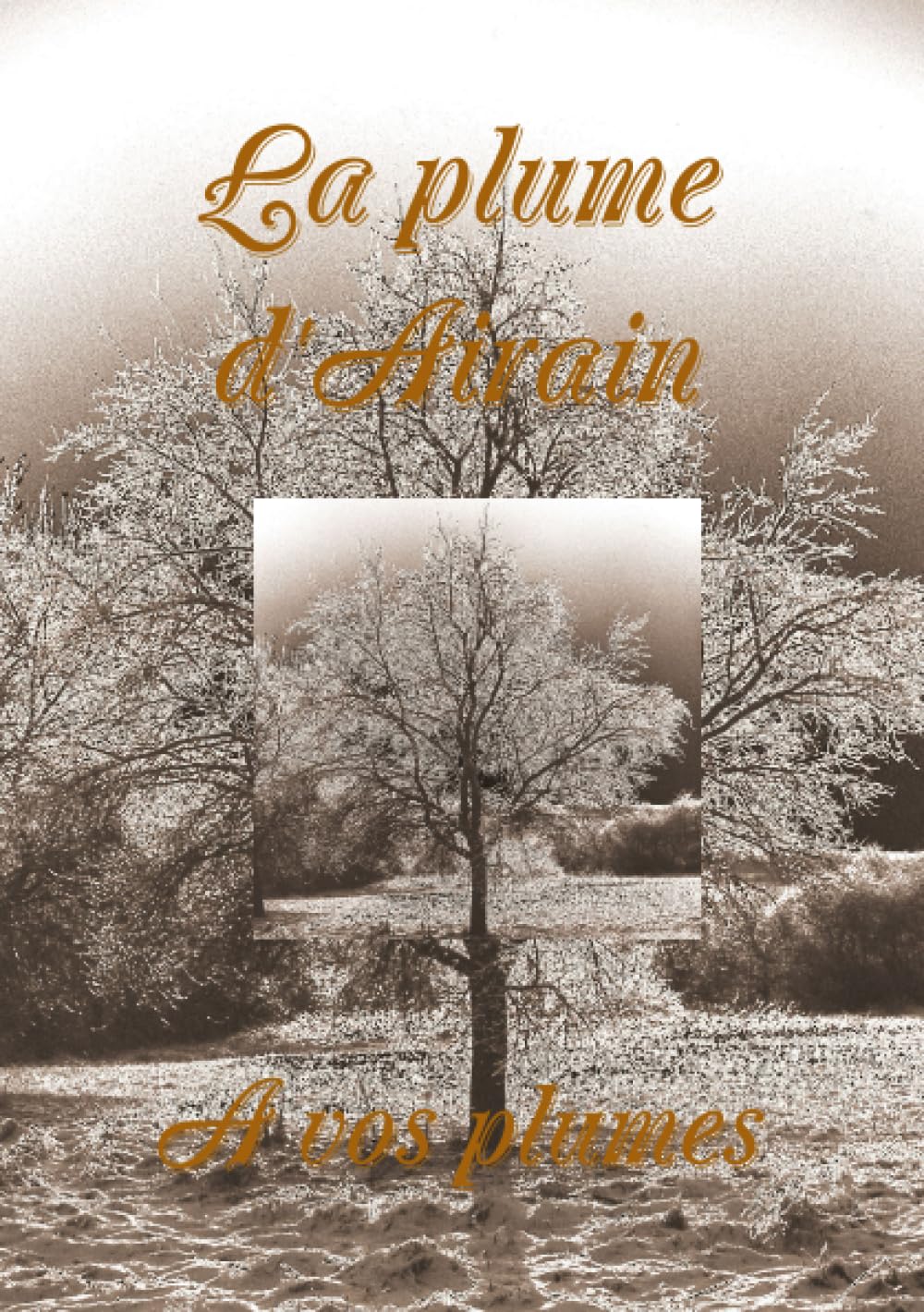 La plume d'airain 9781446673966