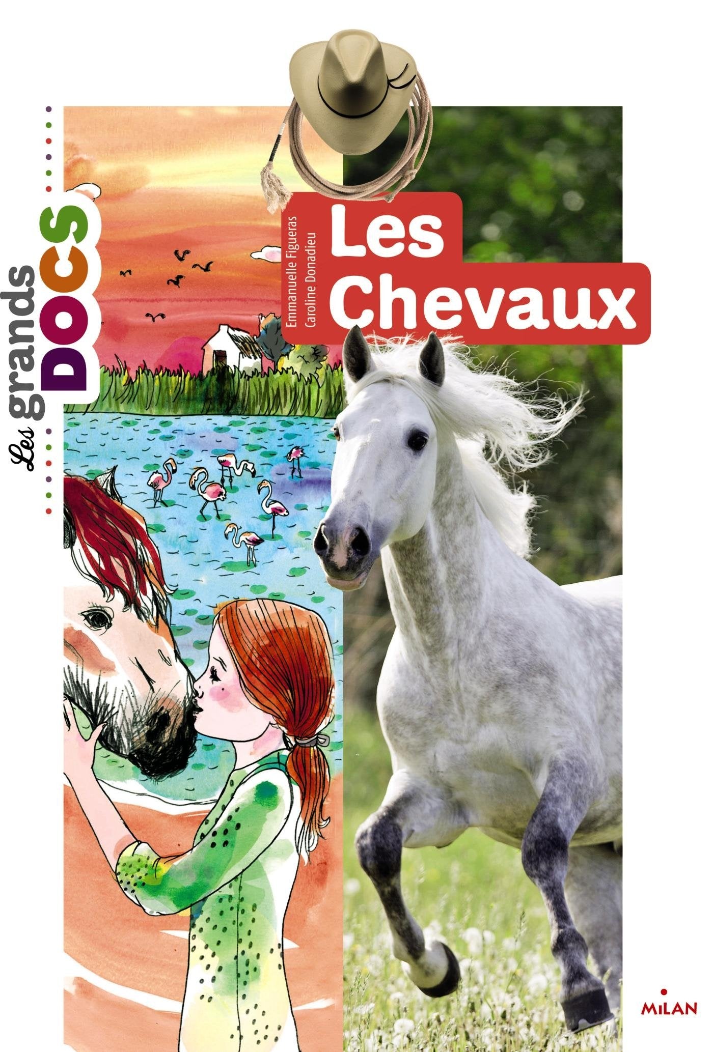 Les chevaux 9782745962454