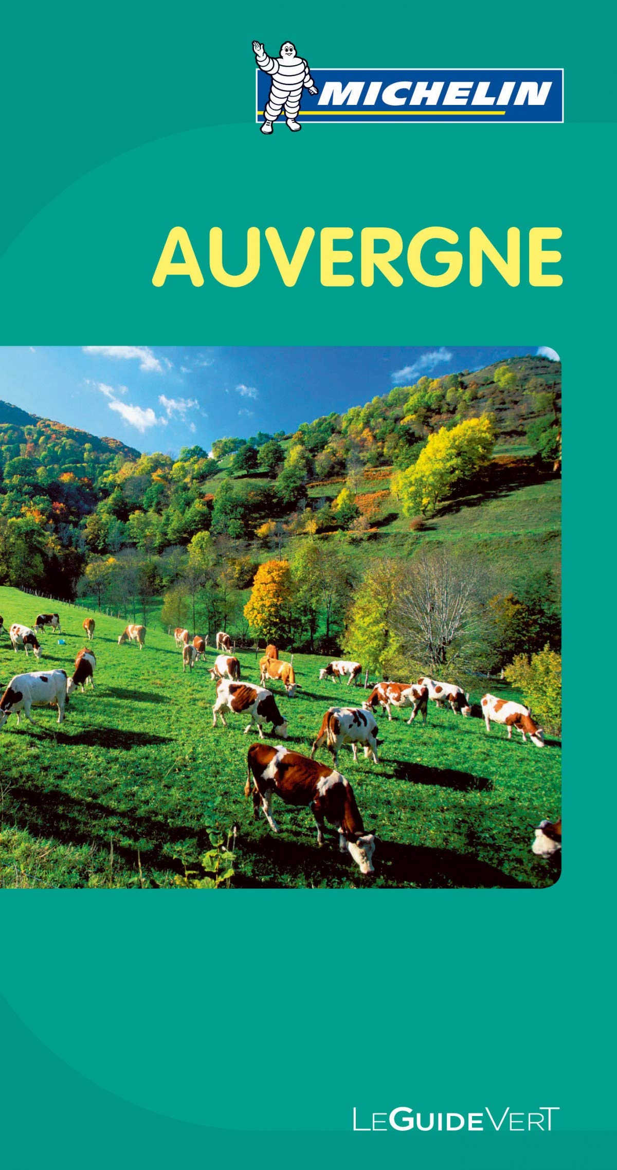 Guide Vert Auvergne 9782067146570