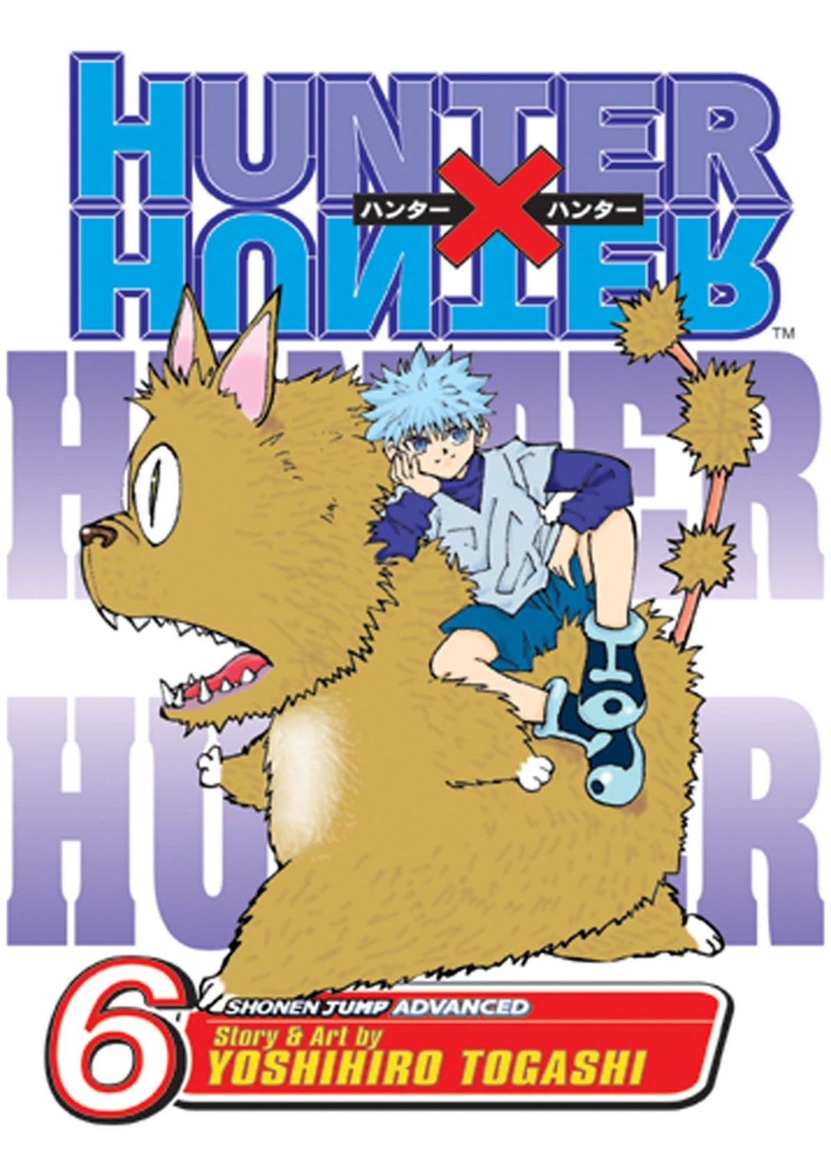 HUNTER X HUNTER GN VOL 06 9781421501857