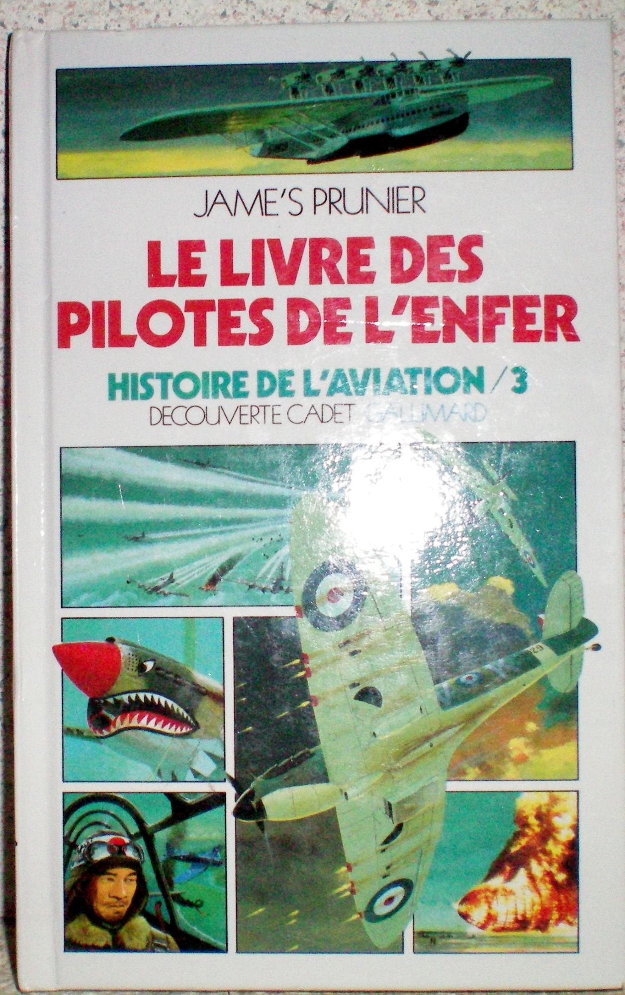 Le livre des pilotes de l'enfer 9782070395545