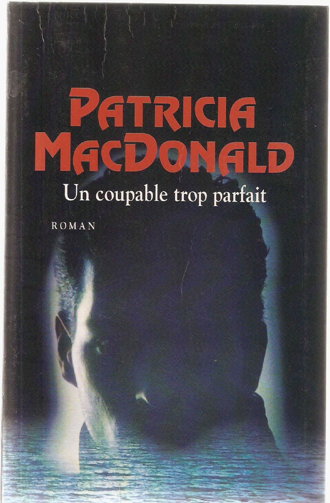 Un coupable trop parfait 9782702878743