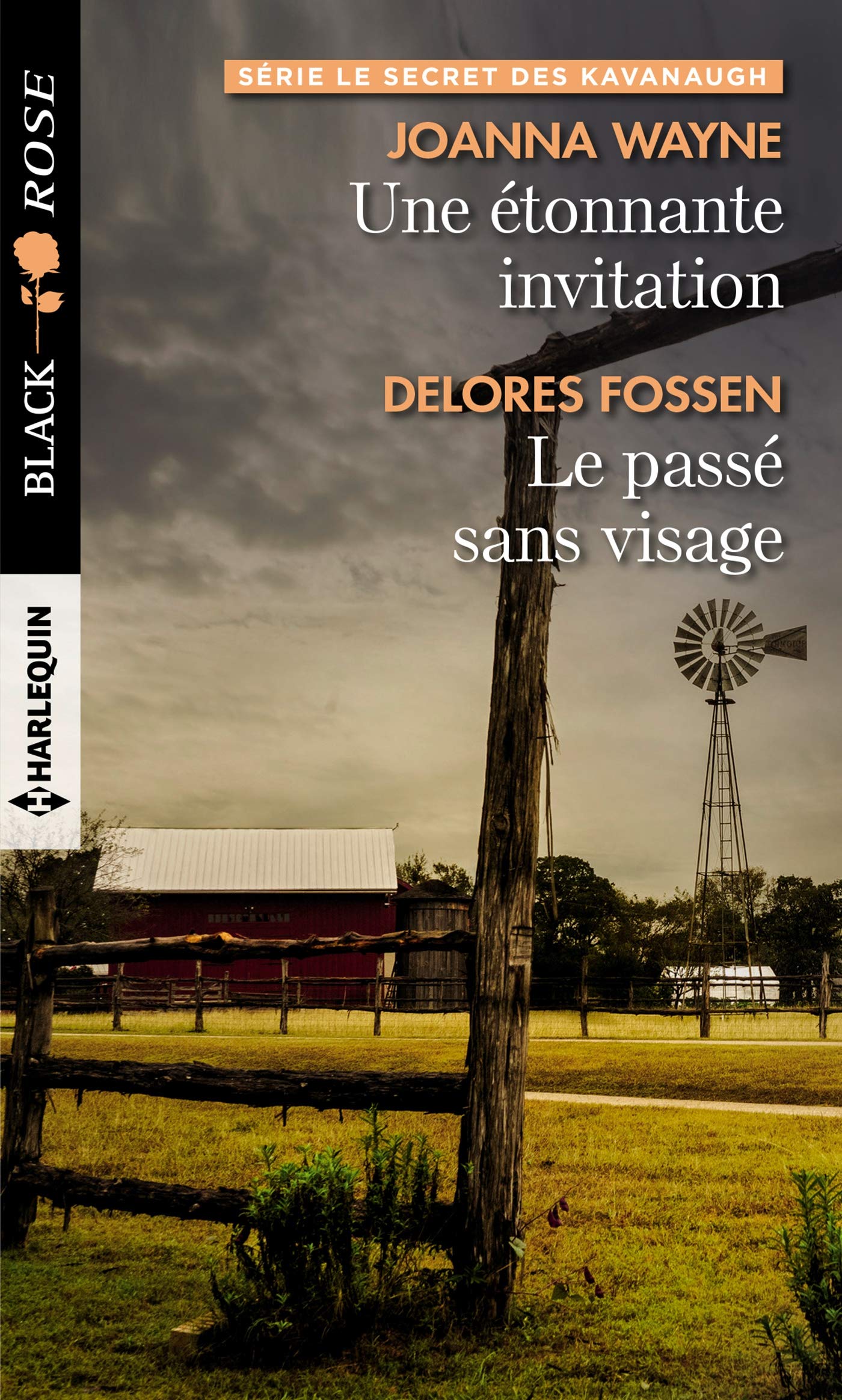 Une étonnante invitation - Le passé sans visage 9782280391733