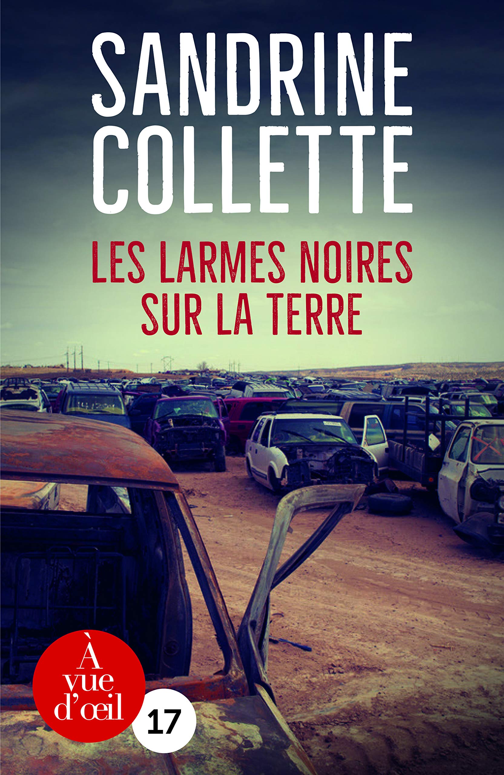 Les larmes noires sur la terre 9791026900788
