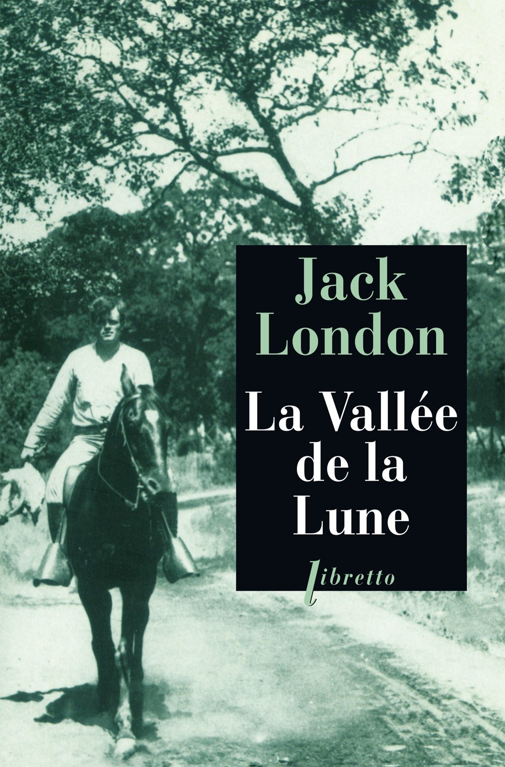 La vallée de la lune 9782859407599