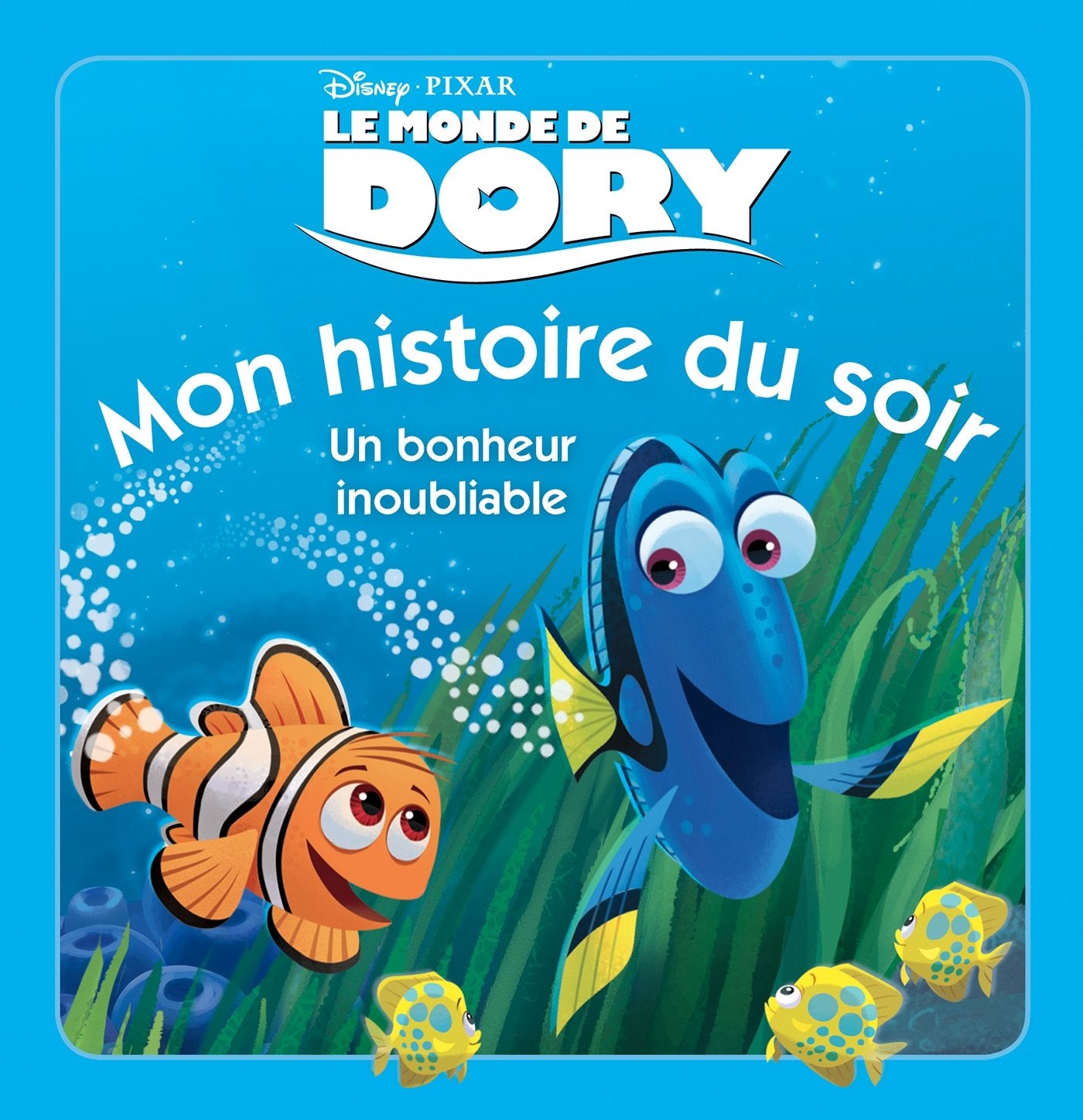 Un bonheur inoubliable: Le Monde de Dory 9782014013139