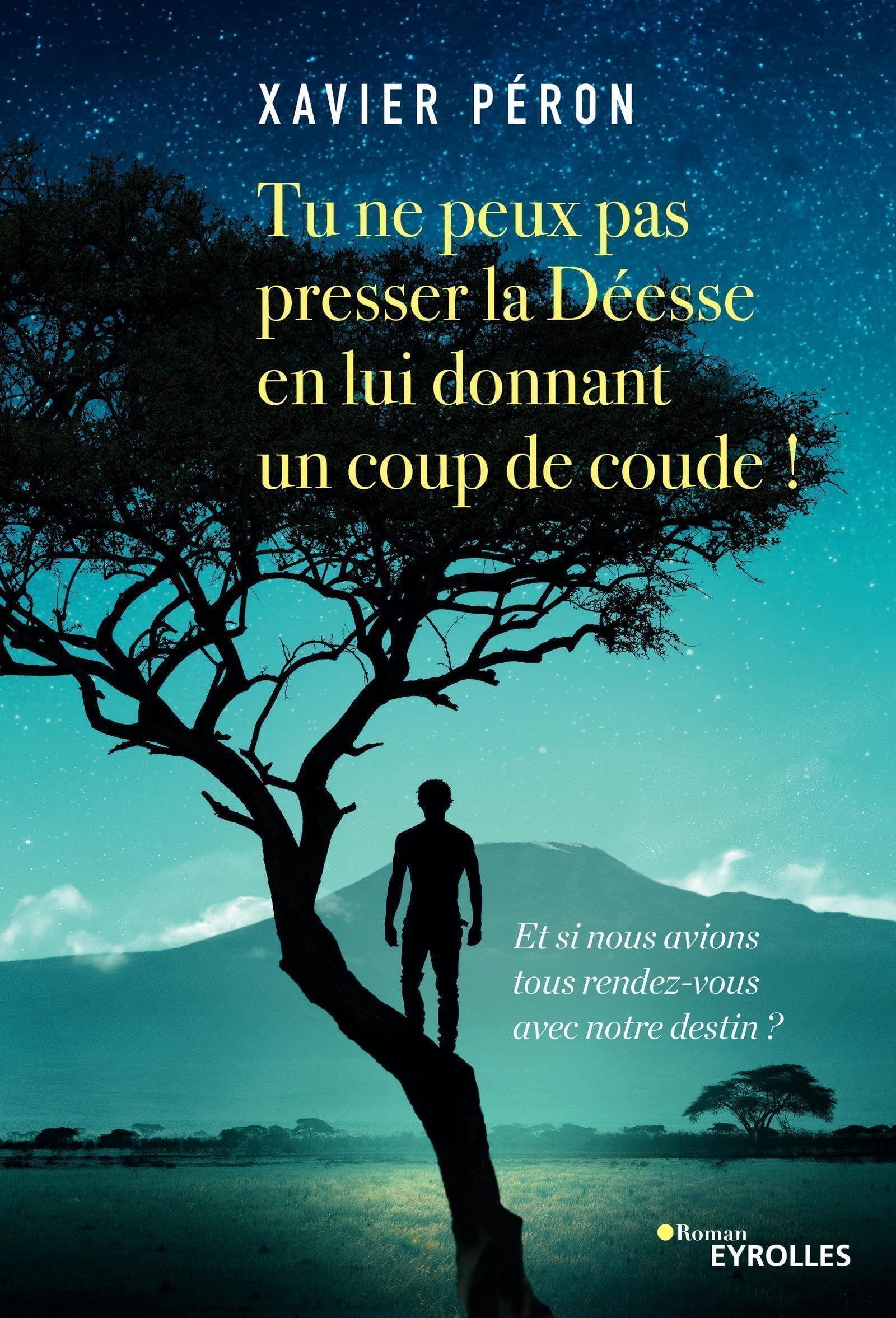 Tu ne peux pas presser la Déesse en lui donnant un coup de coude !: Et si nous avions tous rendez-vous avec notre destin ? 9782212568516