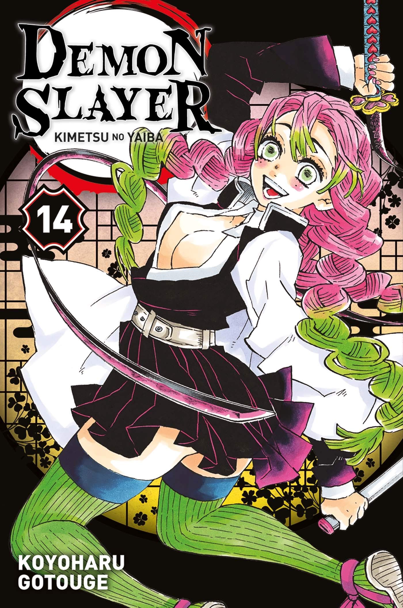 Demon Slayer T14 9782809492491